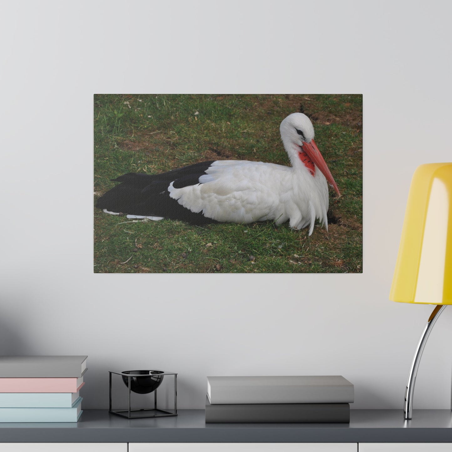 White Stork Laying Down Up Close Canvas - The Trio Synergize Group