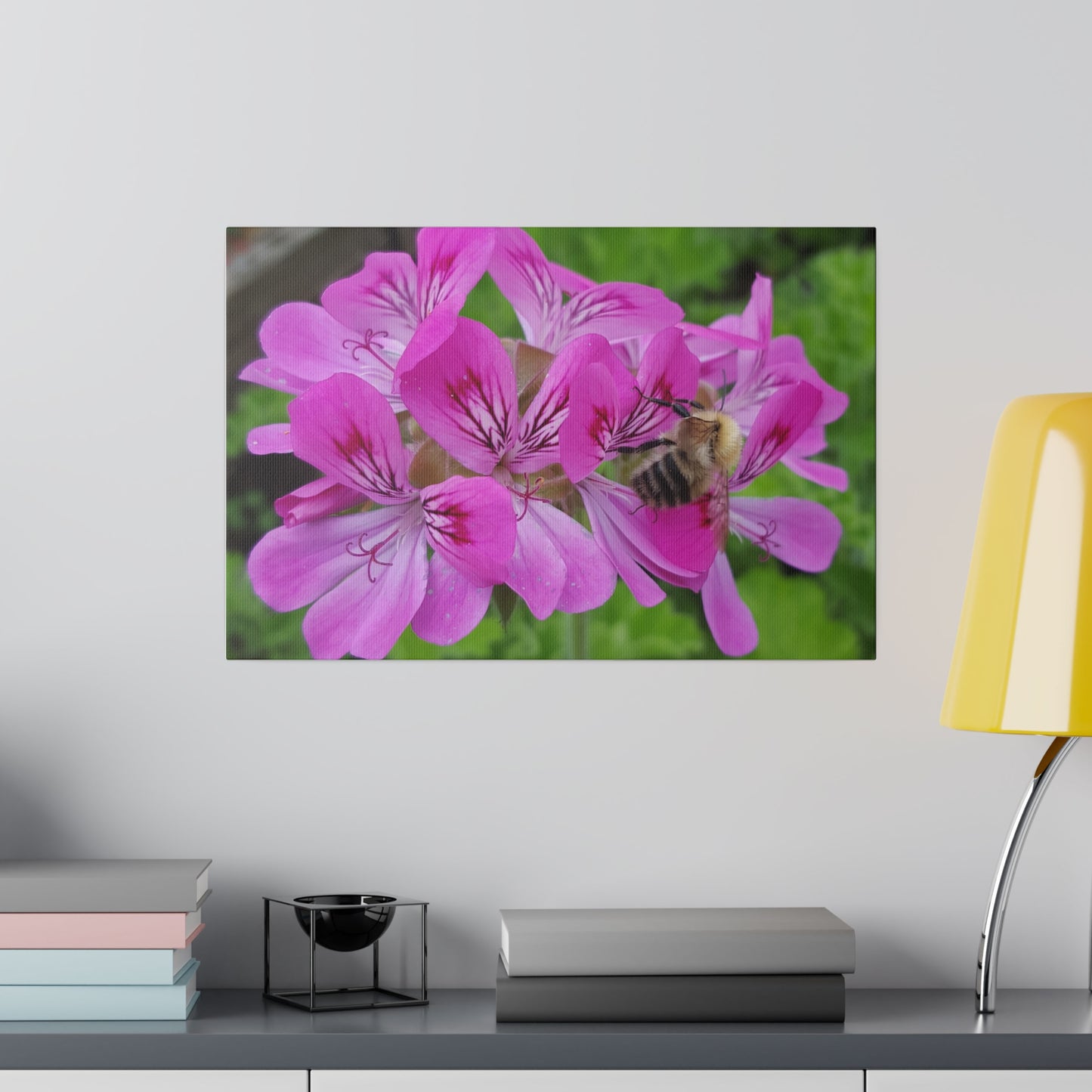 Bumblebee On Pelargonium Pink Capitatum From Behind Canvas - The Trio Synergize Group