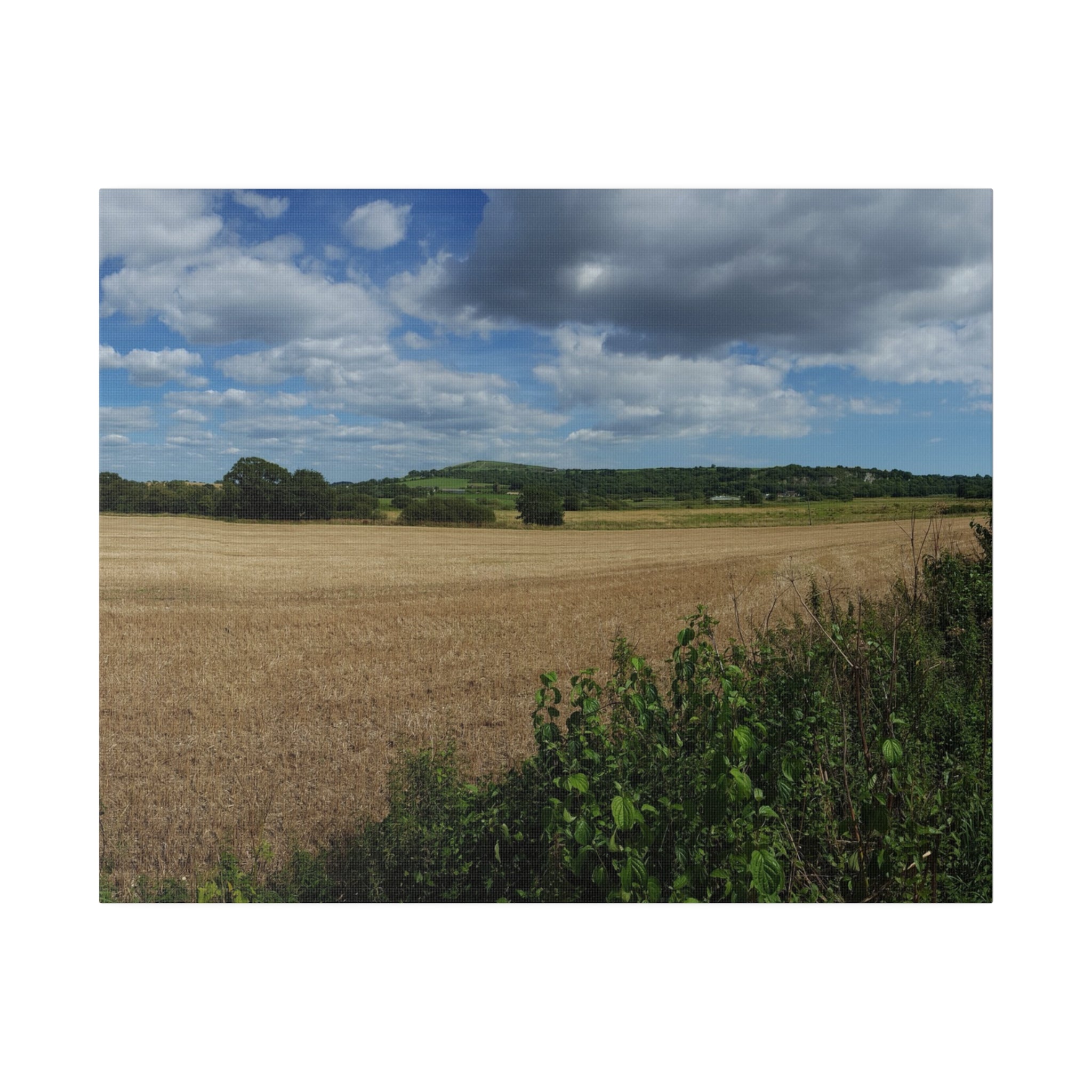 Countryside Farm Fields Landscape Canvas - The Trio Synergize Group