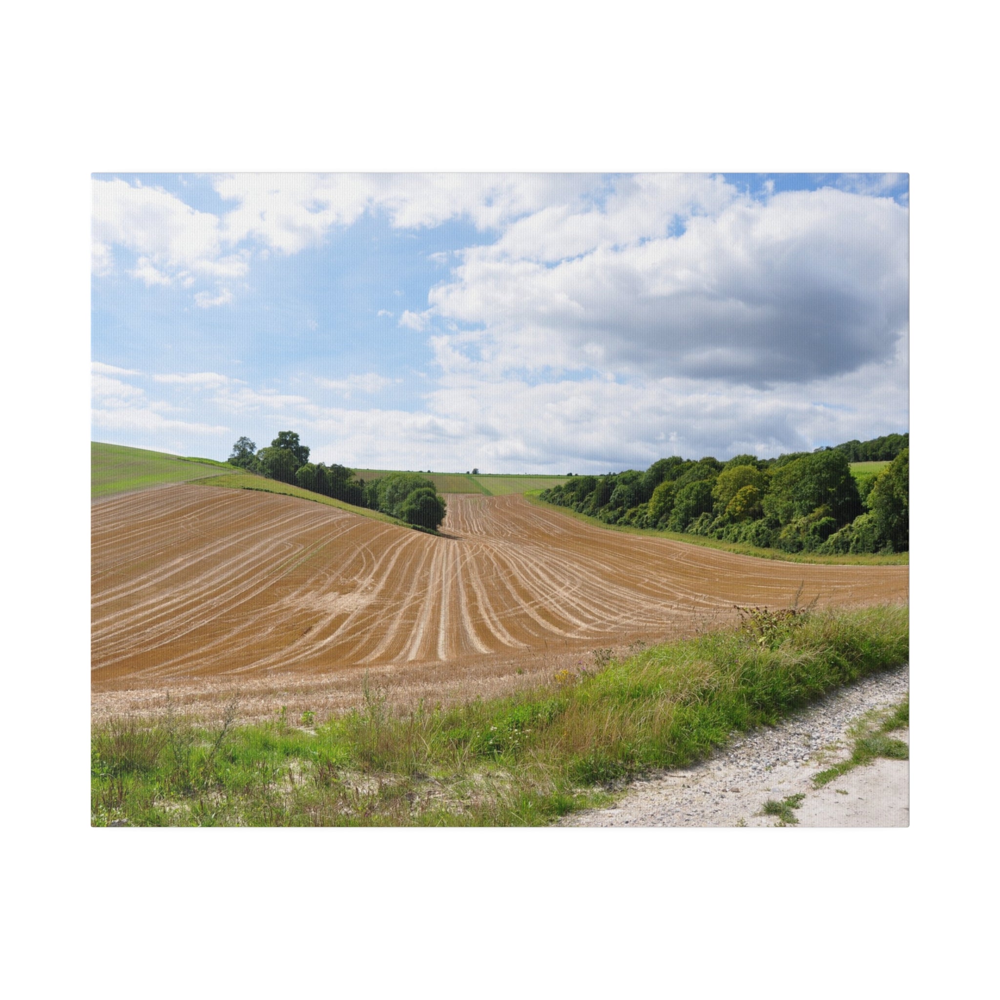 Countryside Farming Fields Landscape, Beautiful Sky Canvas - The Trio Synergize Group