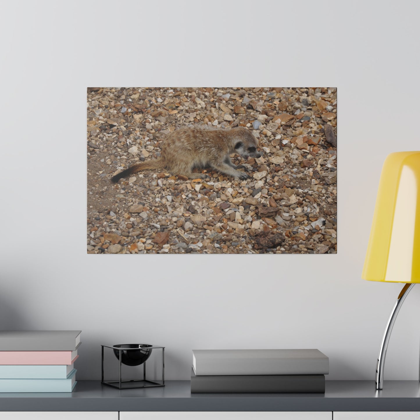 Baby Meerkat Yawning Canvas Print - The Trio Synergize Group