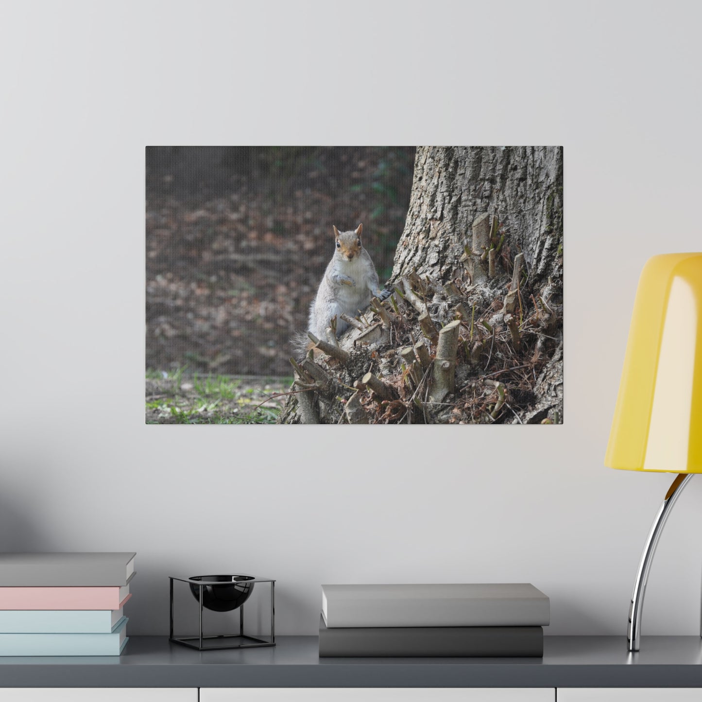 Squirrel Sitting On Tree Stump Canvas - The Trio Synergize Group