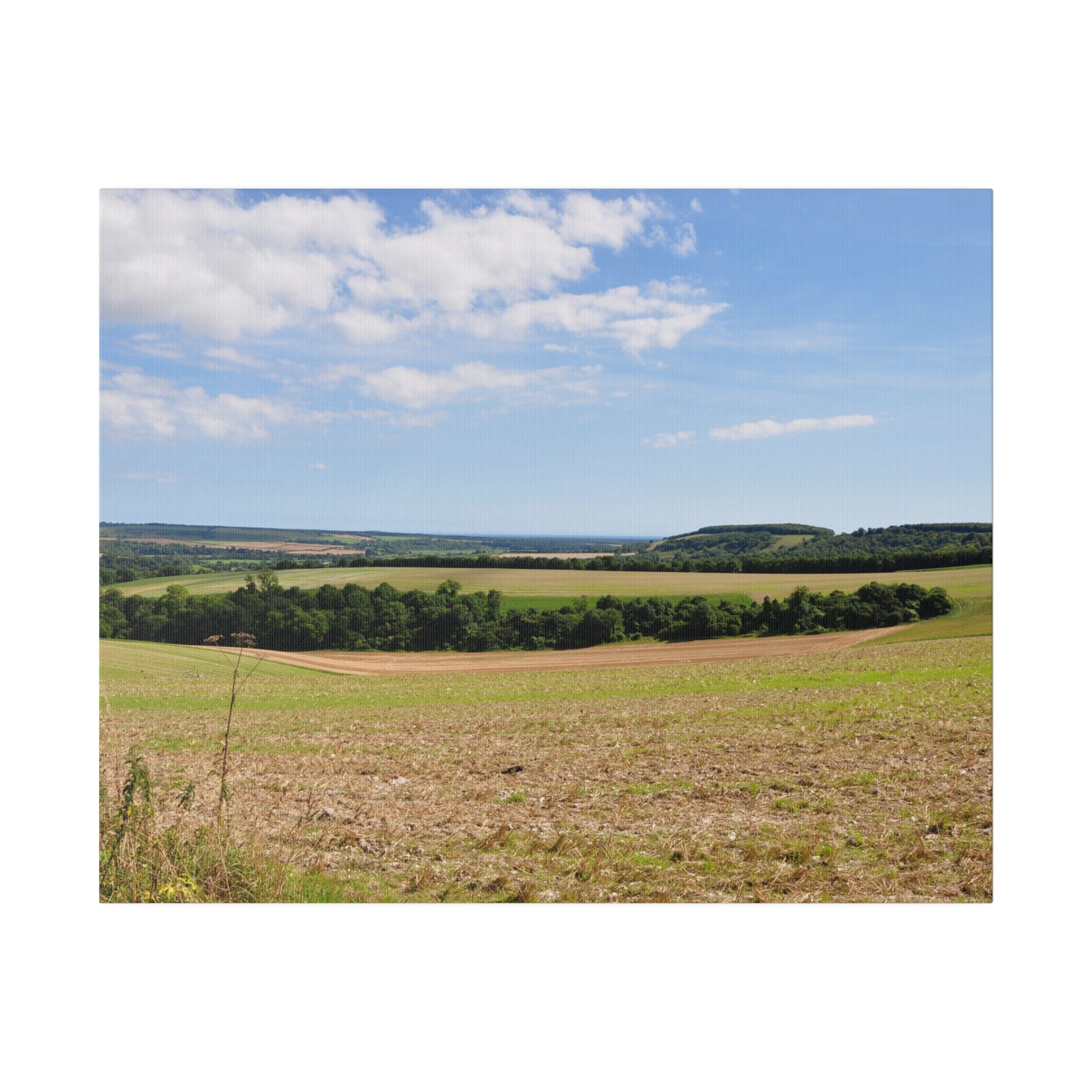 Countryside Fields Landscape With Farmland Canvas - The Trio Synergize Group