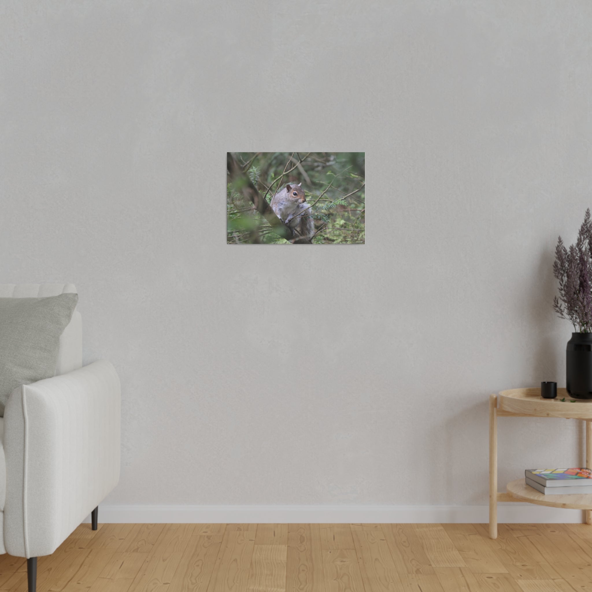 Canvas Print - Squirrel Sitting on a Branch - The Trio Synergize Group