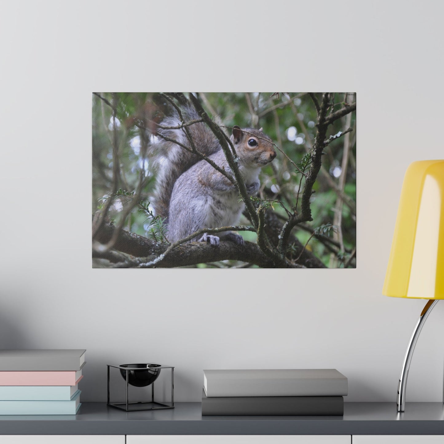 A Squirrel holding on a branch - Canvas - The Trio Synergize Group