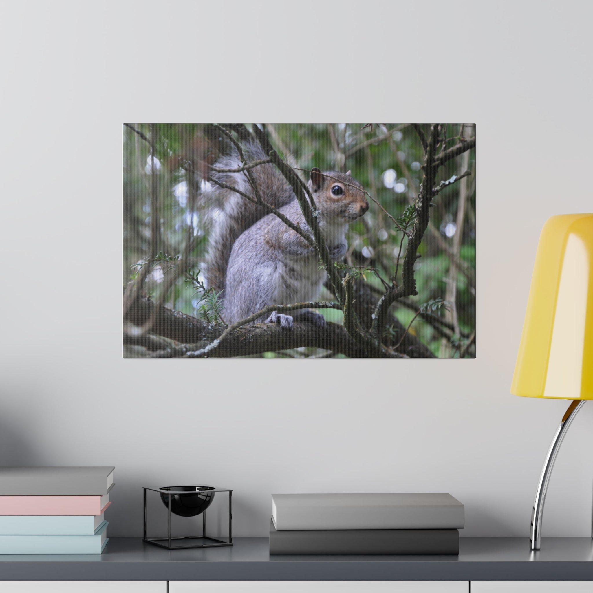 A Squirrel holding on a branch - Canvas - The Trio Synergize Group