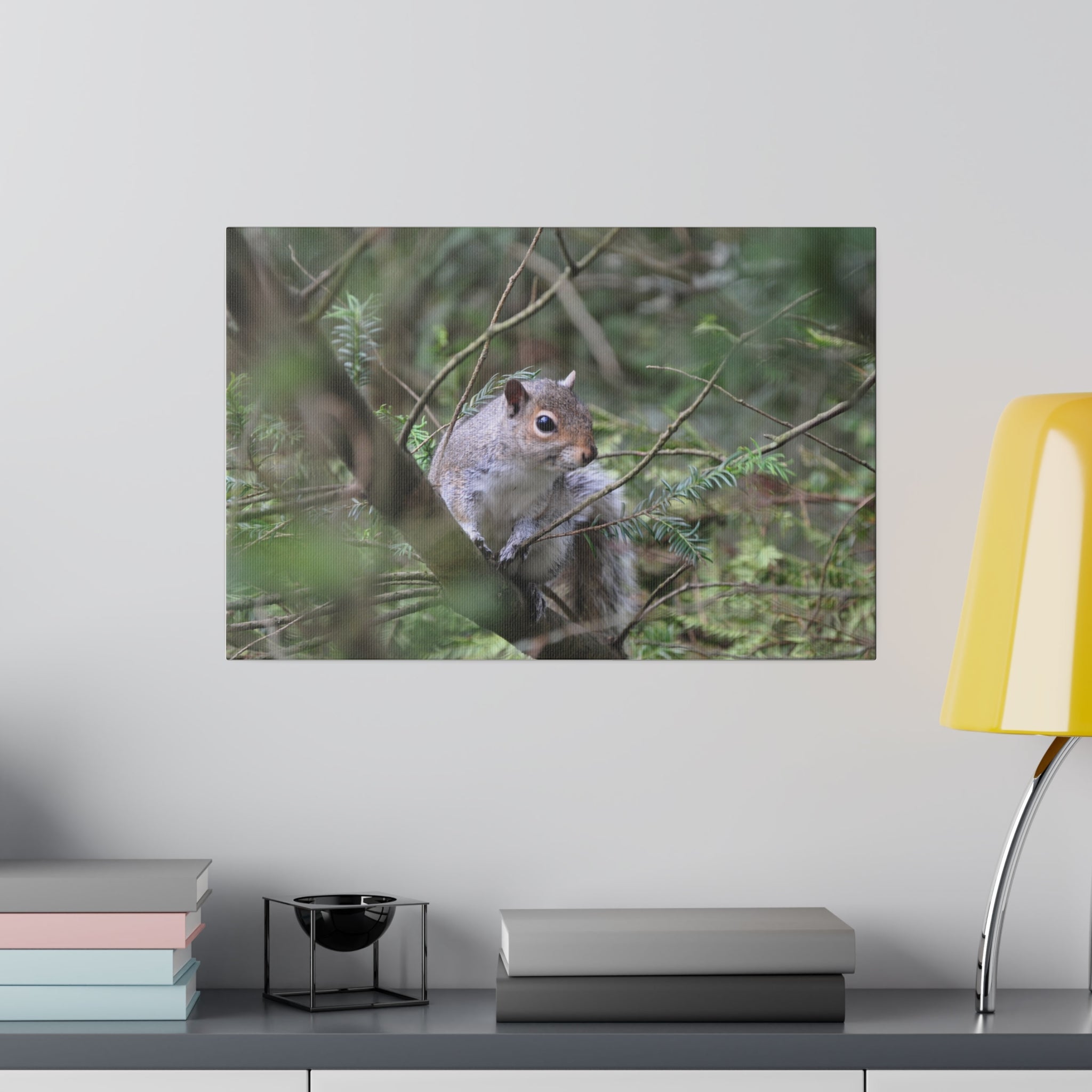Canvas Print - Squirrel Sitting on a Branch - The Trio Synergize Group