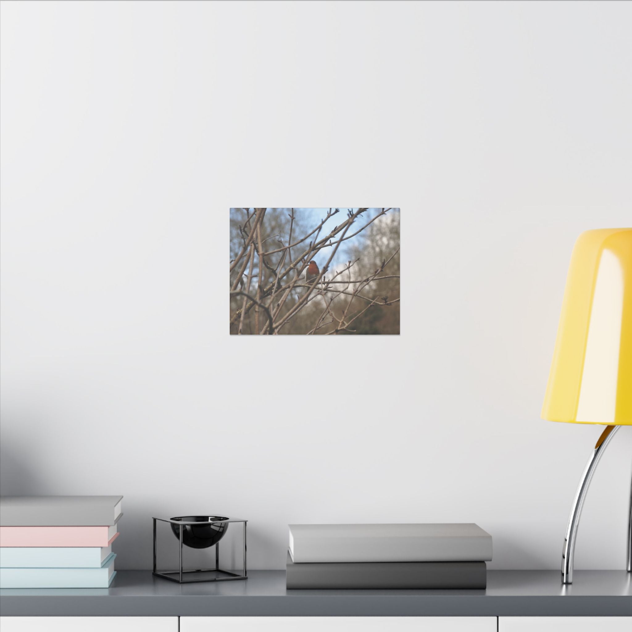 Adult Robin Looking Left With Trees & Sky Background Canvas - The Trio Synergize Group