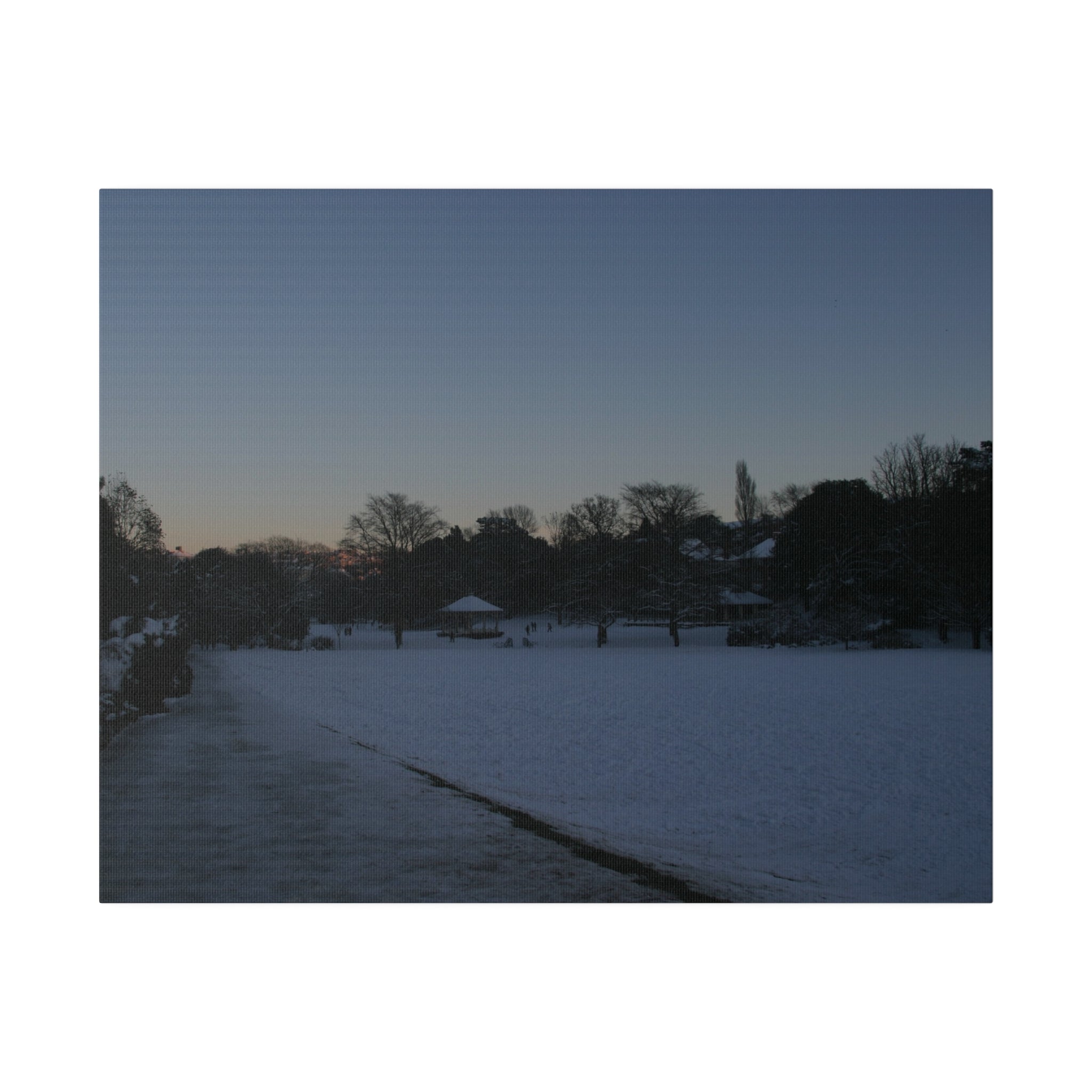 Alexandra Park In The Snow, Matte Canvas - The Trio Synergize Group