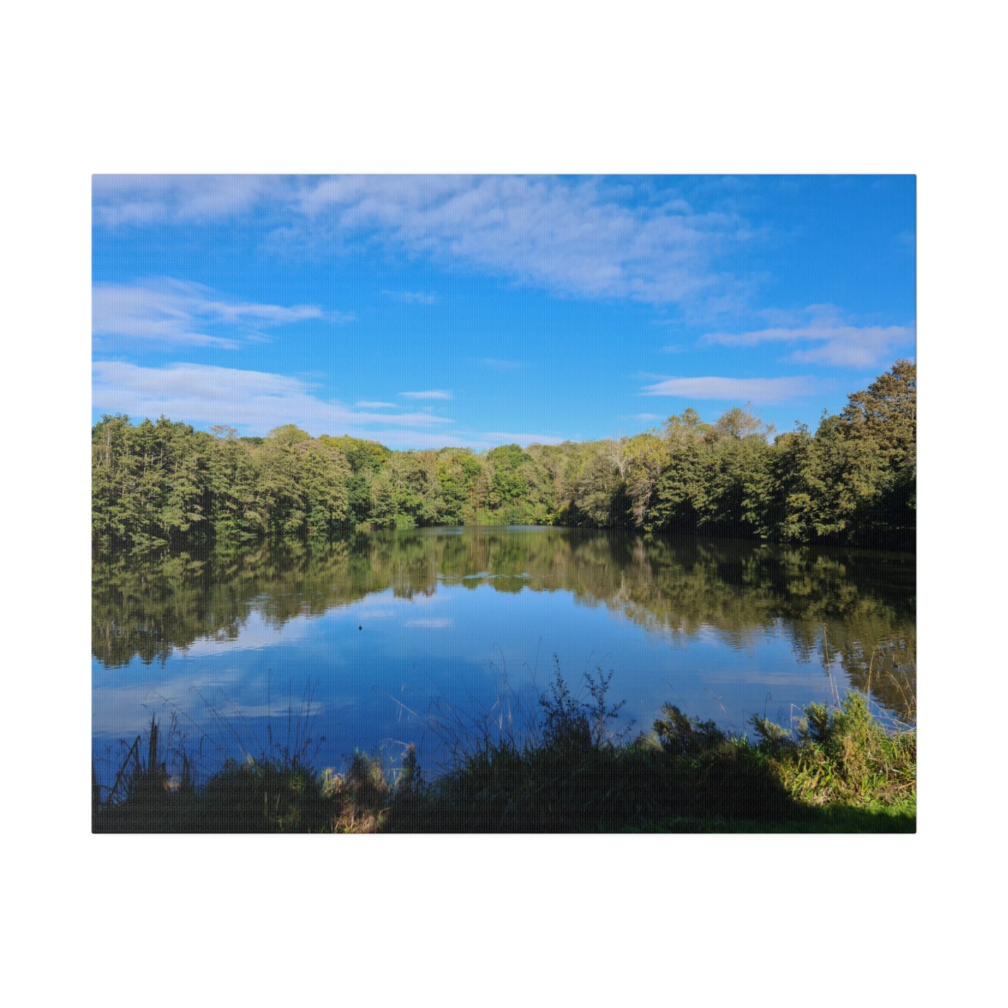 Alexandra Park Pond With Trees And Lovely Blue Sky With Clouds Canvas - The Trio Synergize Group