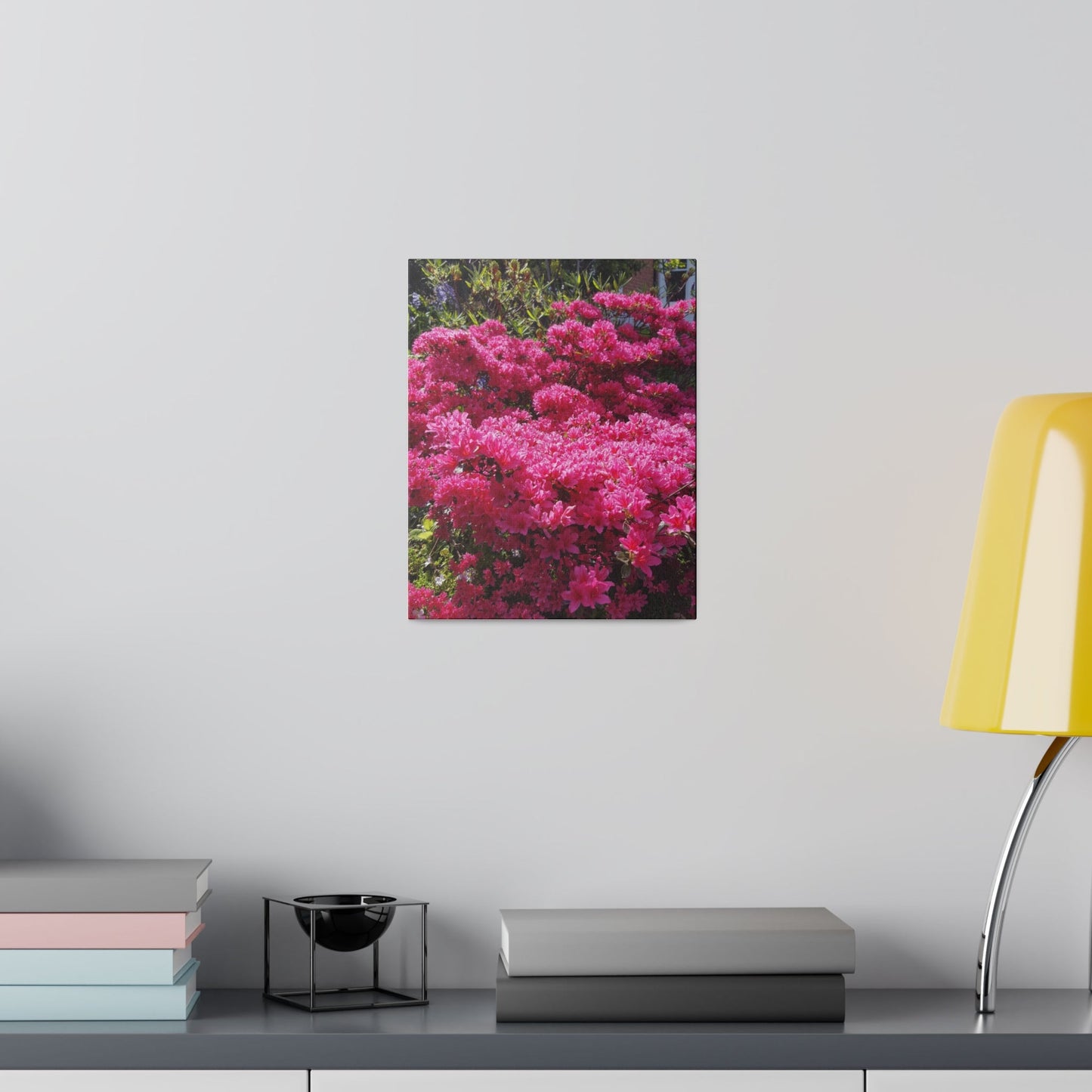 Azalea Japonica Pink Canvas Print - The Trio Synergize Group