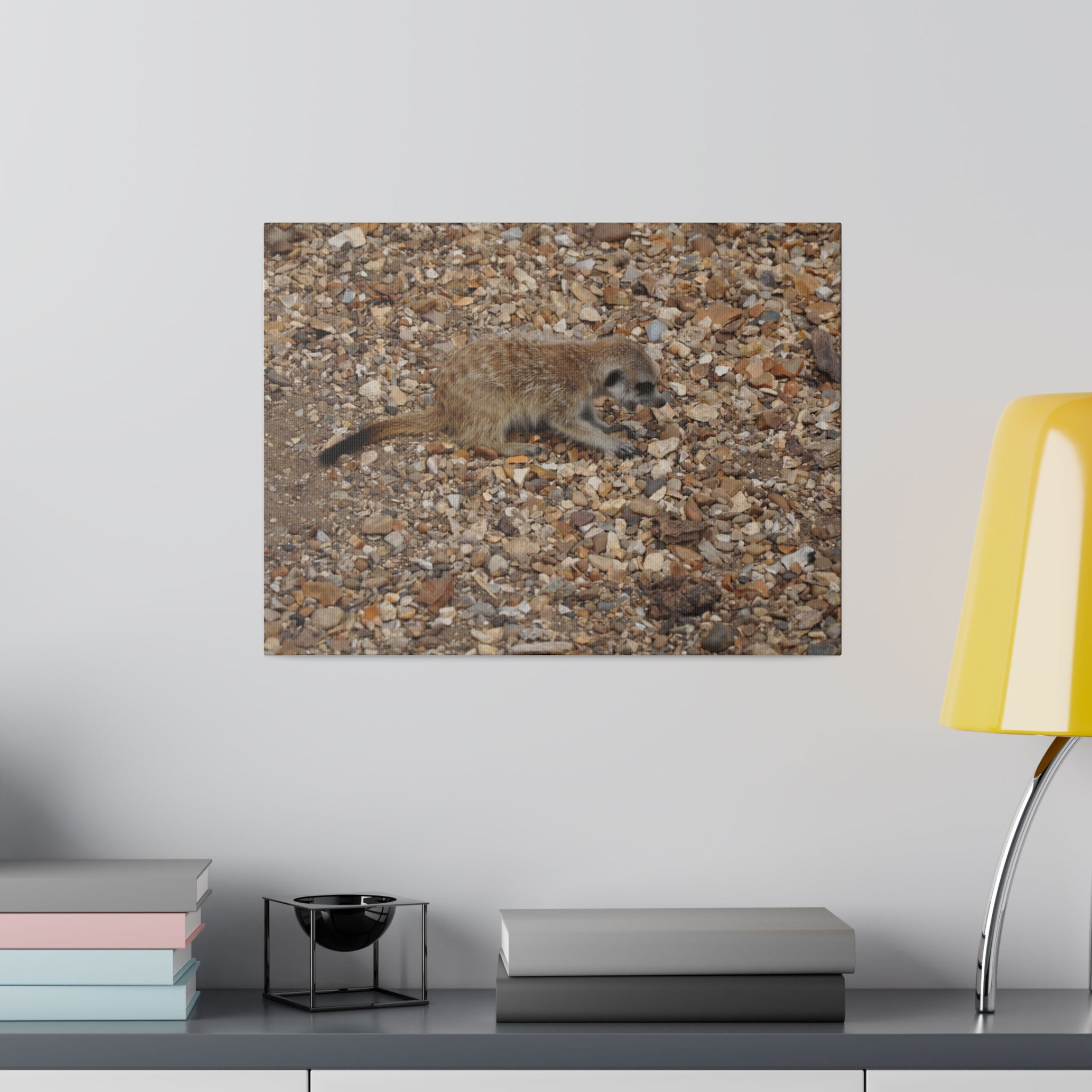 Baby Meerkat Yawning Canvas Print - The Trio Synergize Group