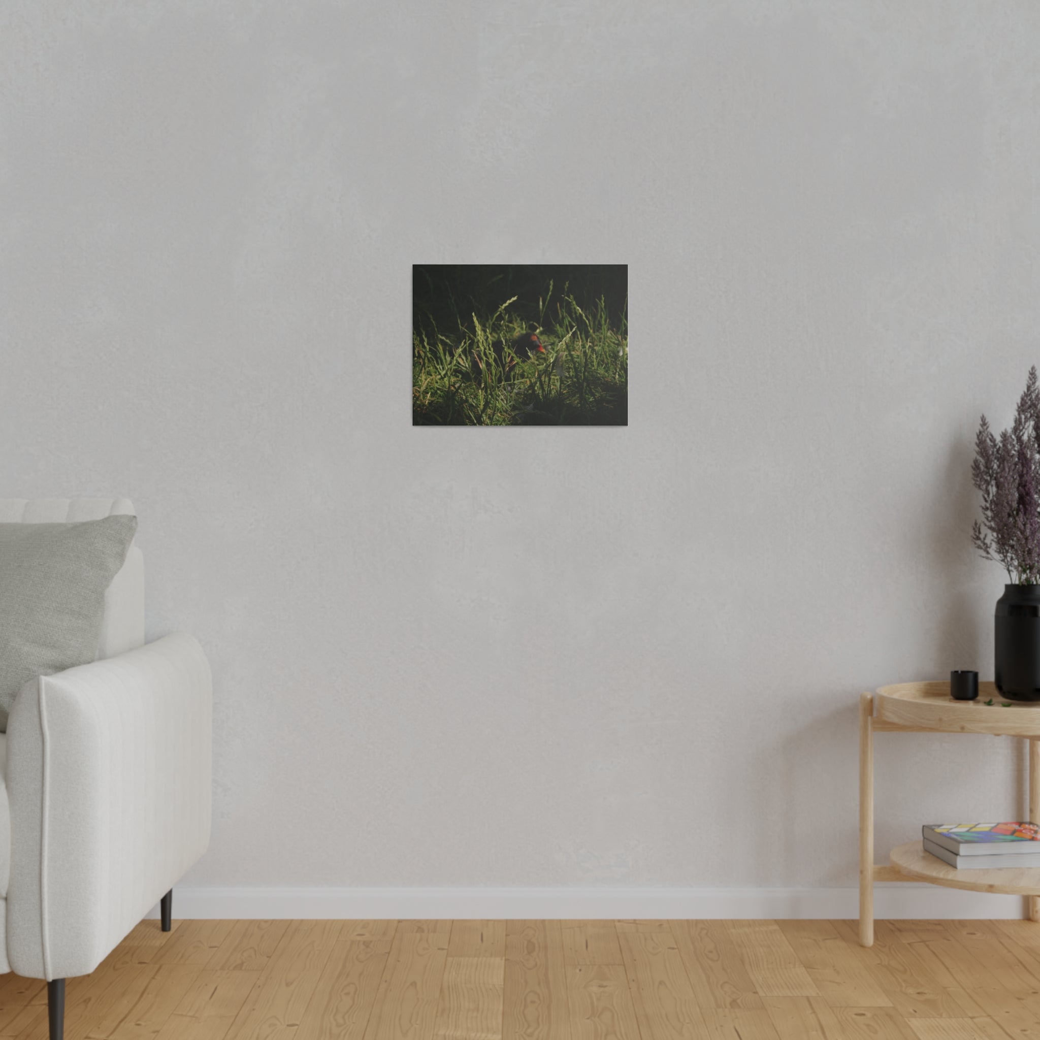 Baby Moorhen Hiding In Grass Canvas - The Trio Synergize Group