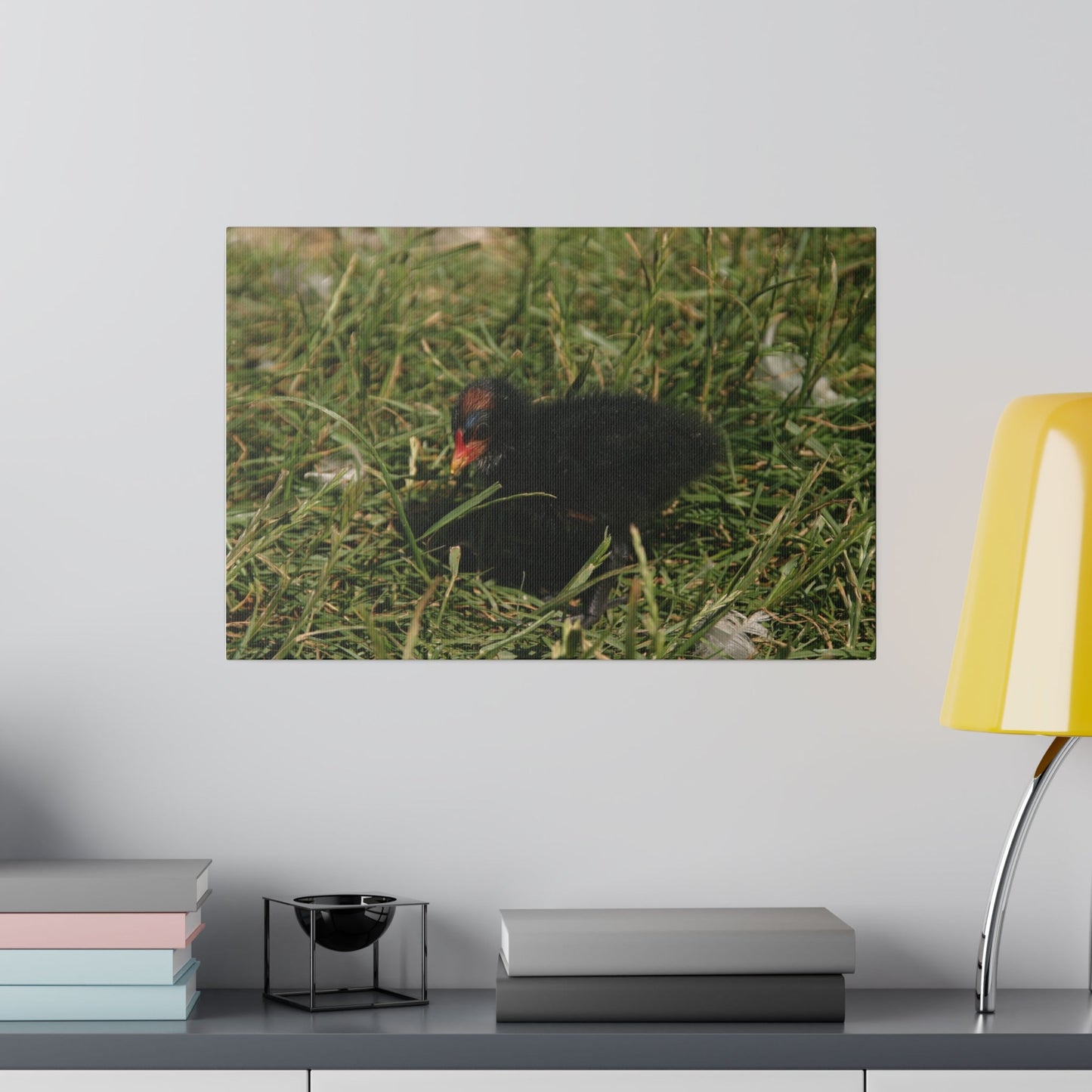 Single Baby Moorhen On Grass Canvas - The Trio Synergize Group