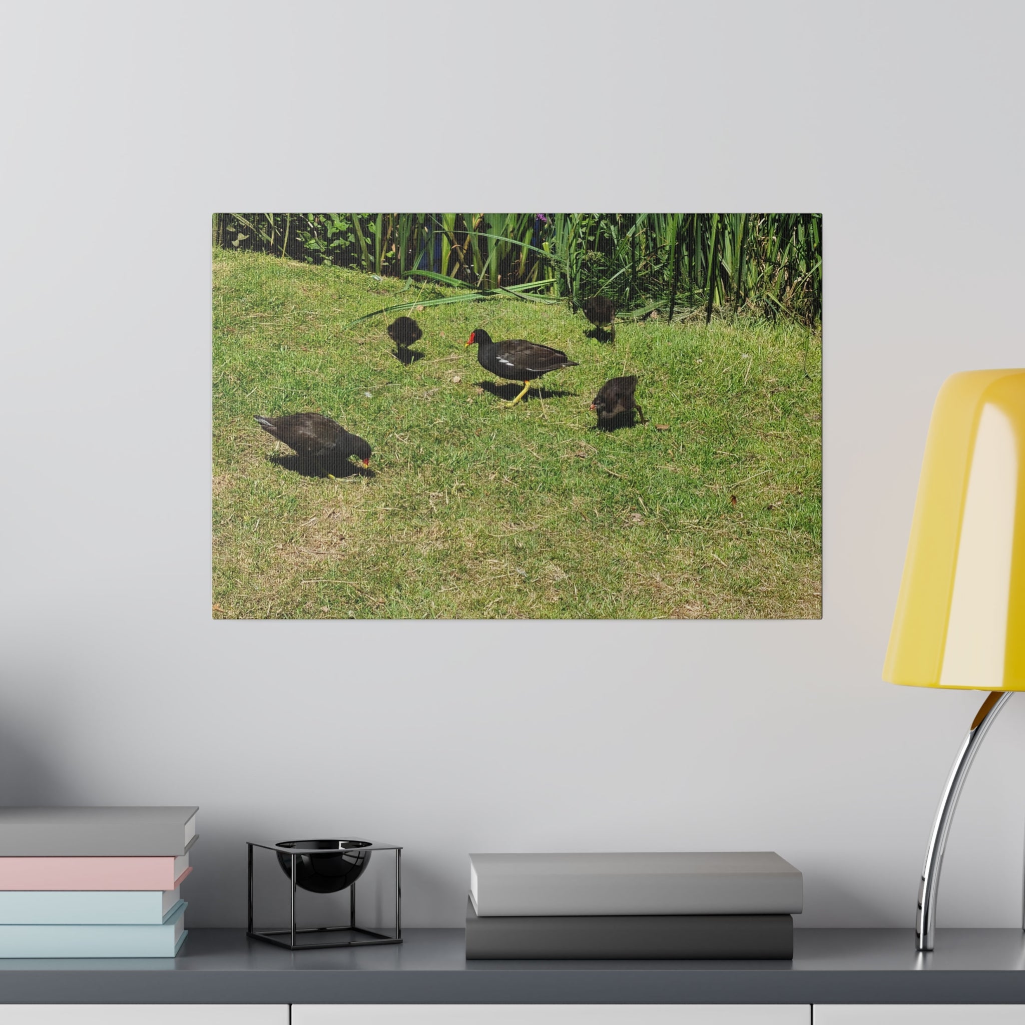 Baby Moorhen's And Their Parents Canvas - The Trio Synergize Group