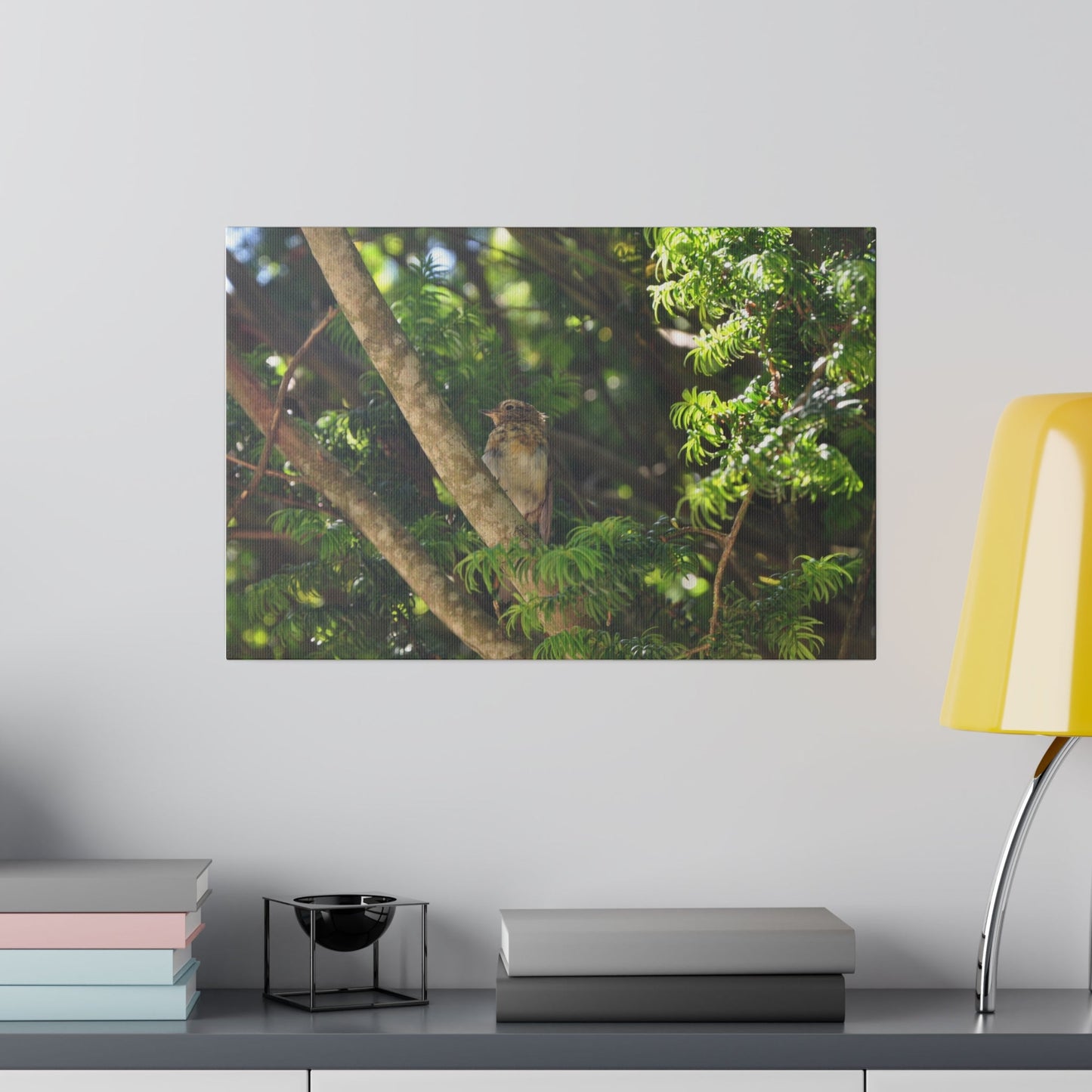 Baby Robin Looking To The Left, Sitting On A Branch - Canvas - The Trio Synergize Group
