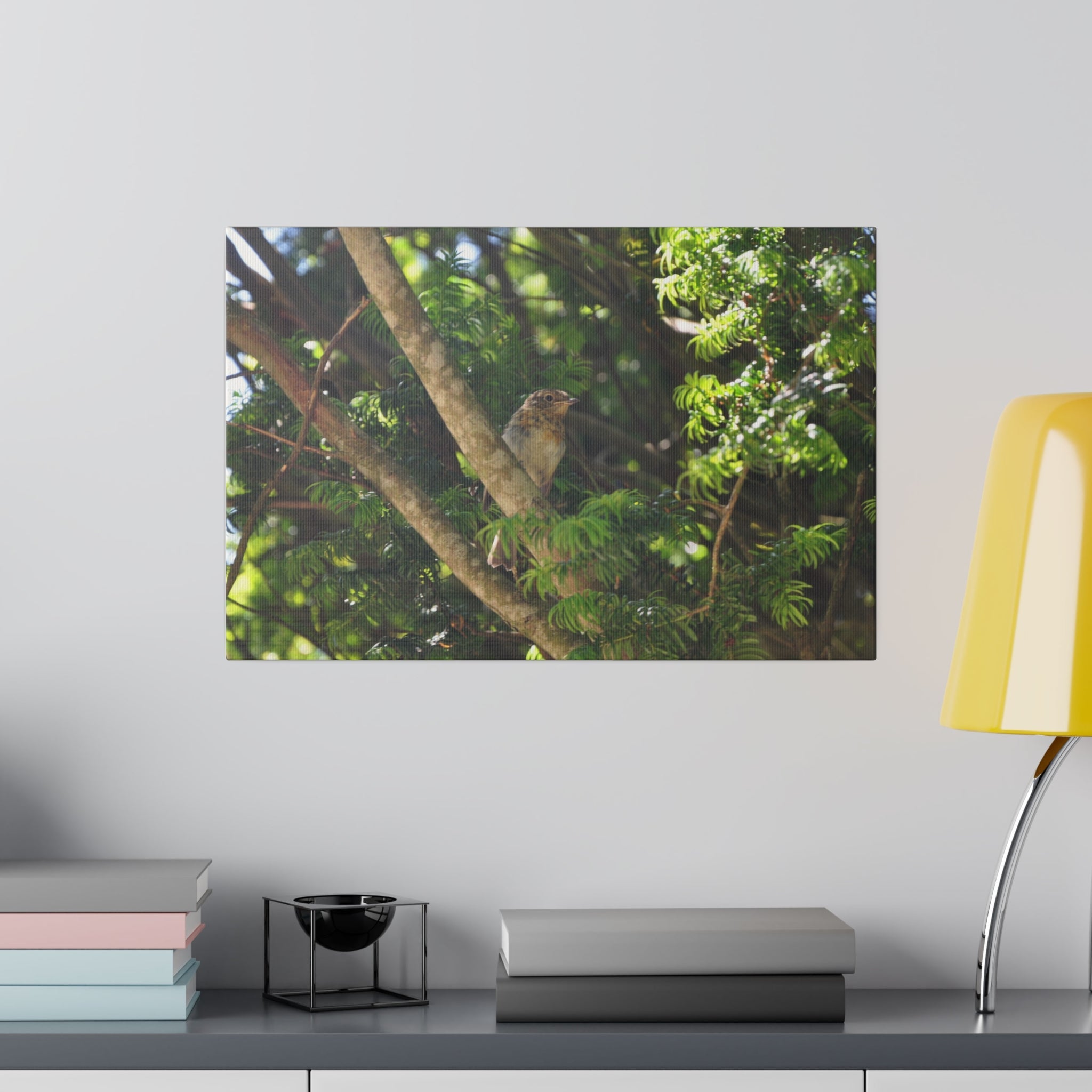 Baby Robin Sitting On A Branch - Canvas - The Trio Synergize Group