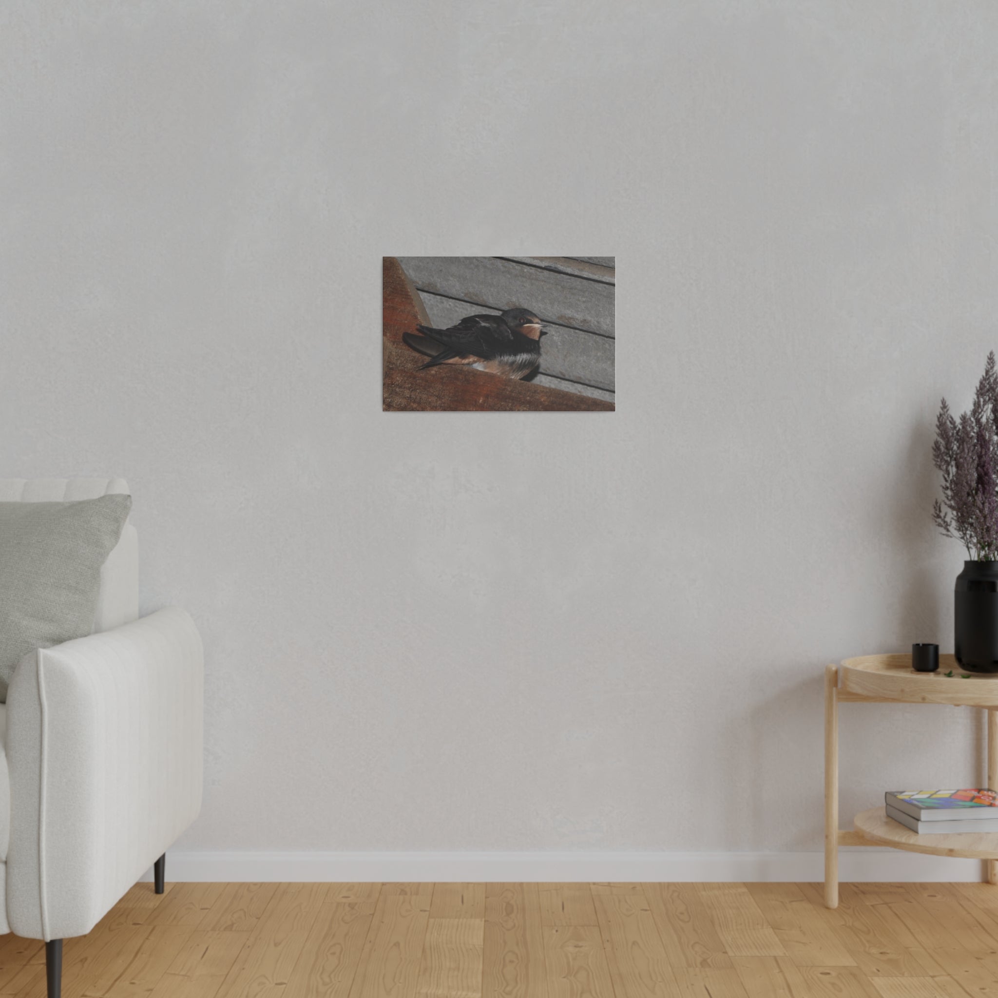 Barn Swallow Looking Right Sitting Canvas - The Trio Synergize Group