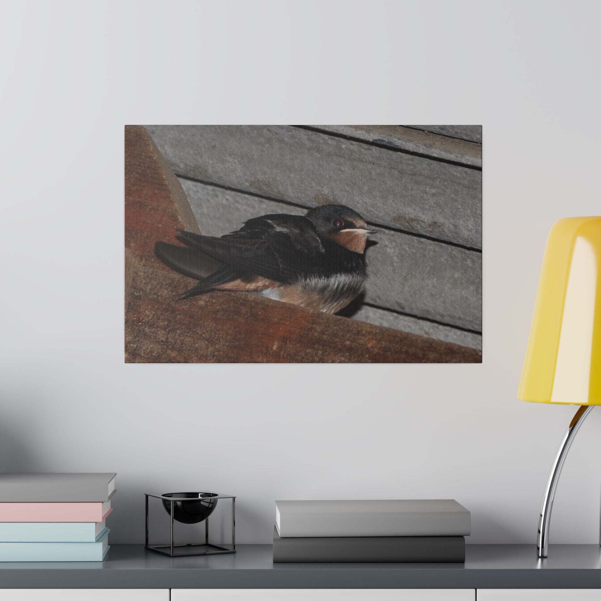 Barn Swallow Looking Right Sitting Canvas - The Trio Synergize Group