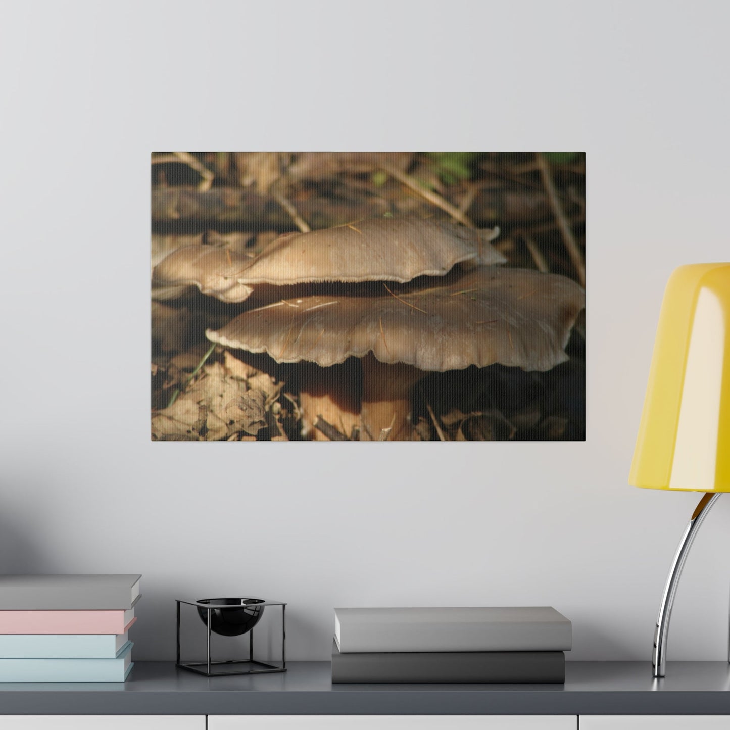 Two Big Woodland Mushrooms Canvas - The Trio Synergize Group