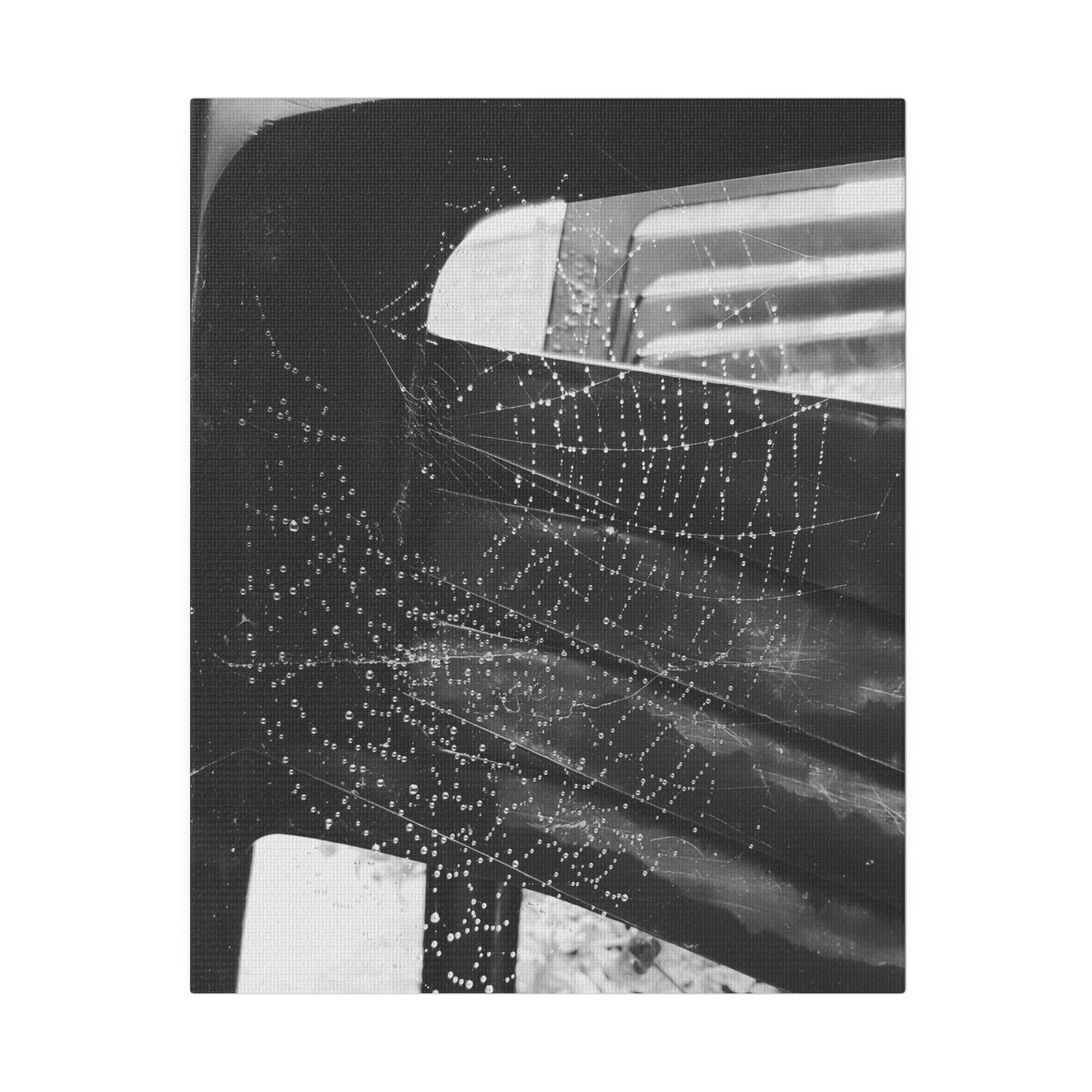 Black And White Spider Web With Water Droplets Canvas - The Trio Synergize Group