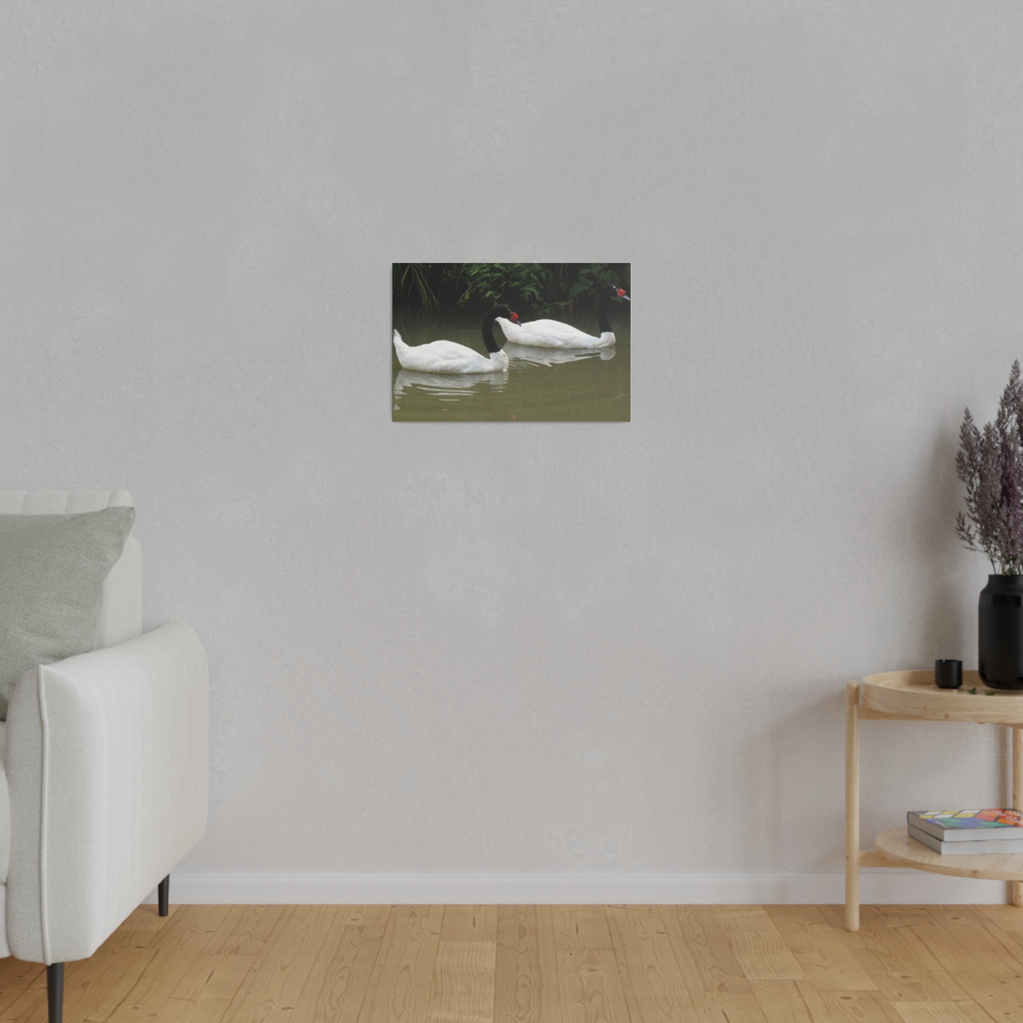 Two Black-Necked Swans On A Pond Canvas - The Trio Synergize Group