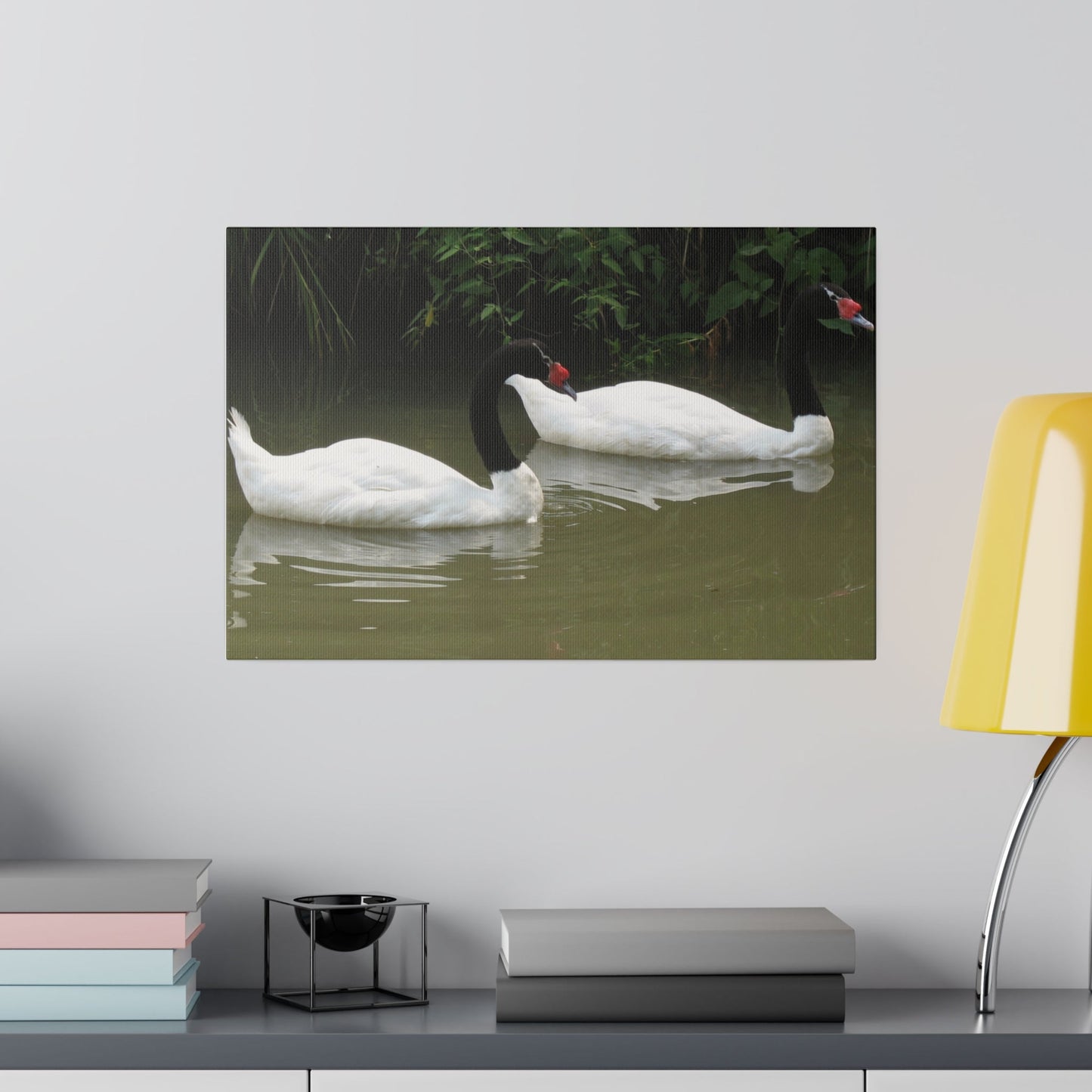 Two Black-Necked Swans On A Pond Canvas - The Trio Synergize Group