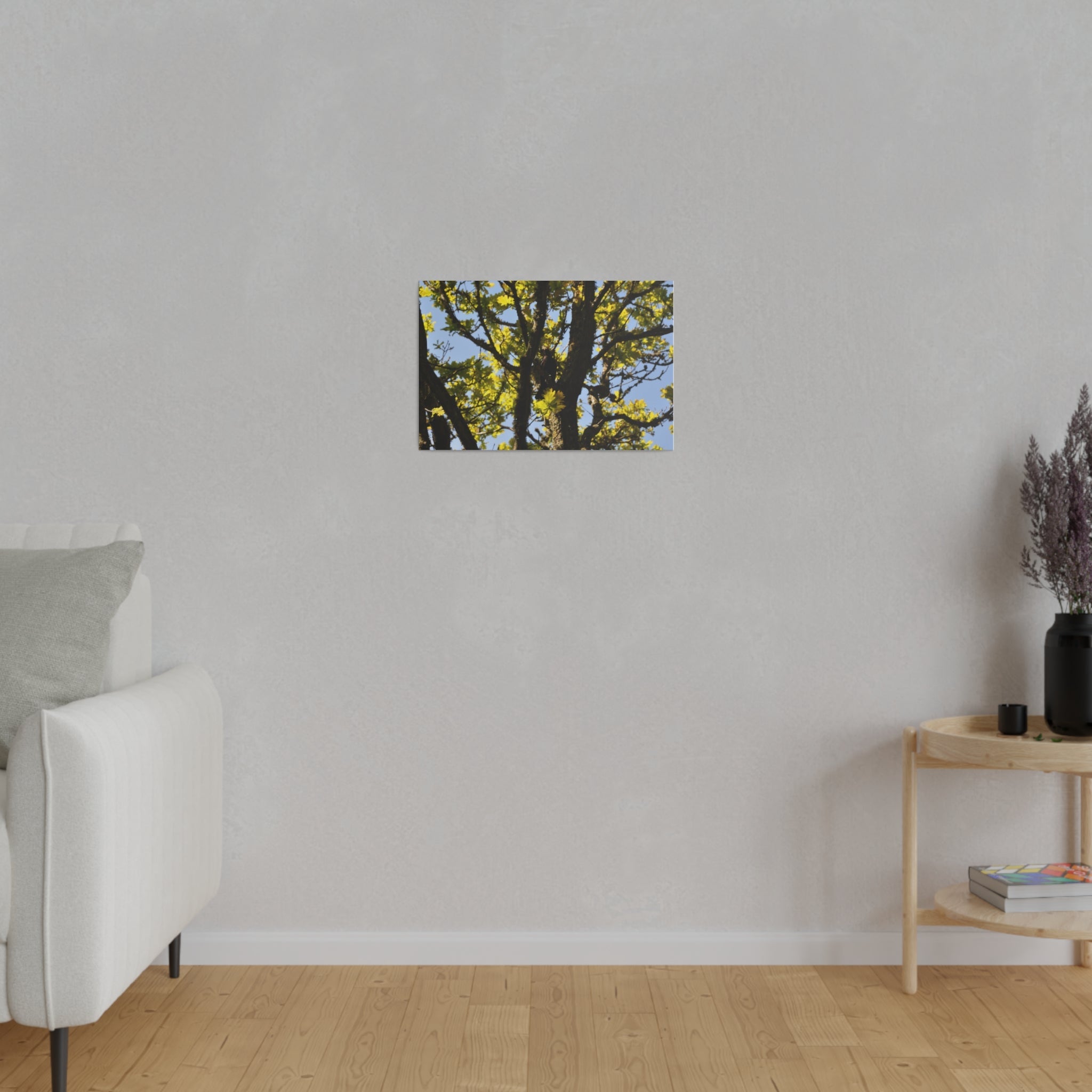 Blackbird In The Trees With Sky Background Canvas - The Trio Synergize Group