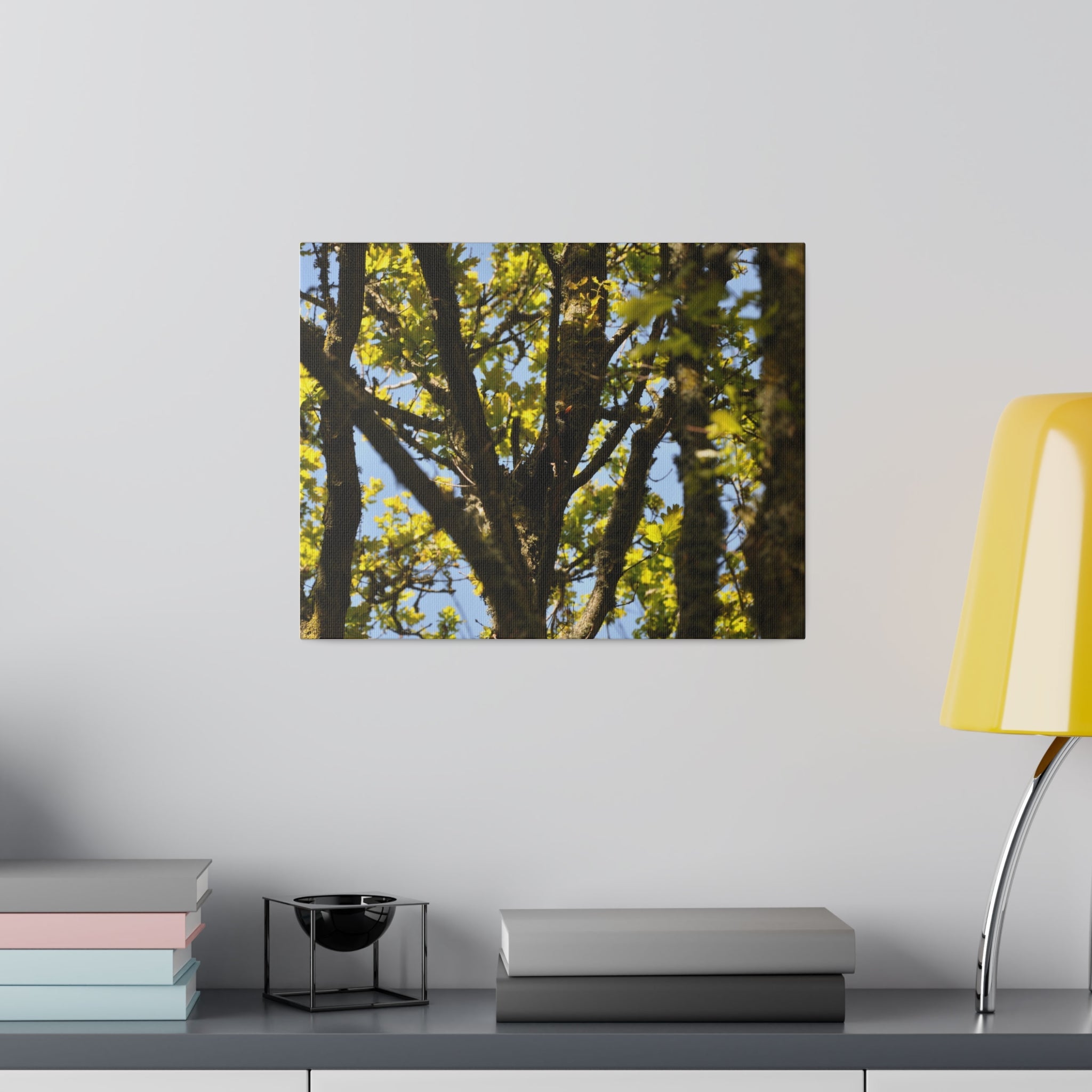 Blackbird In The Trees Canvas Print - The Trio Synergize Group