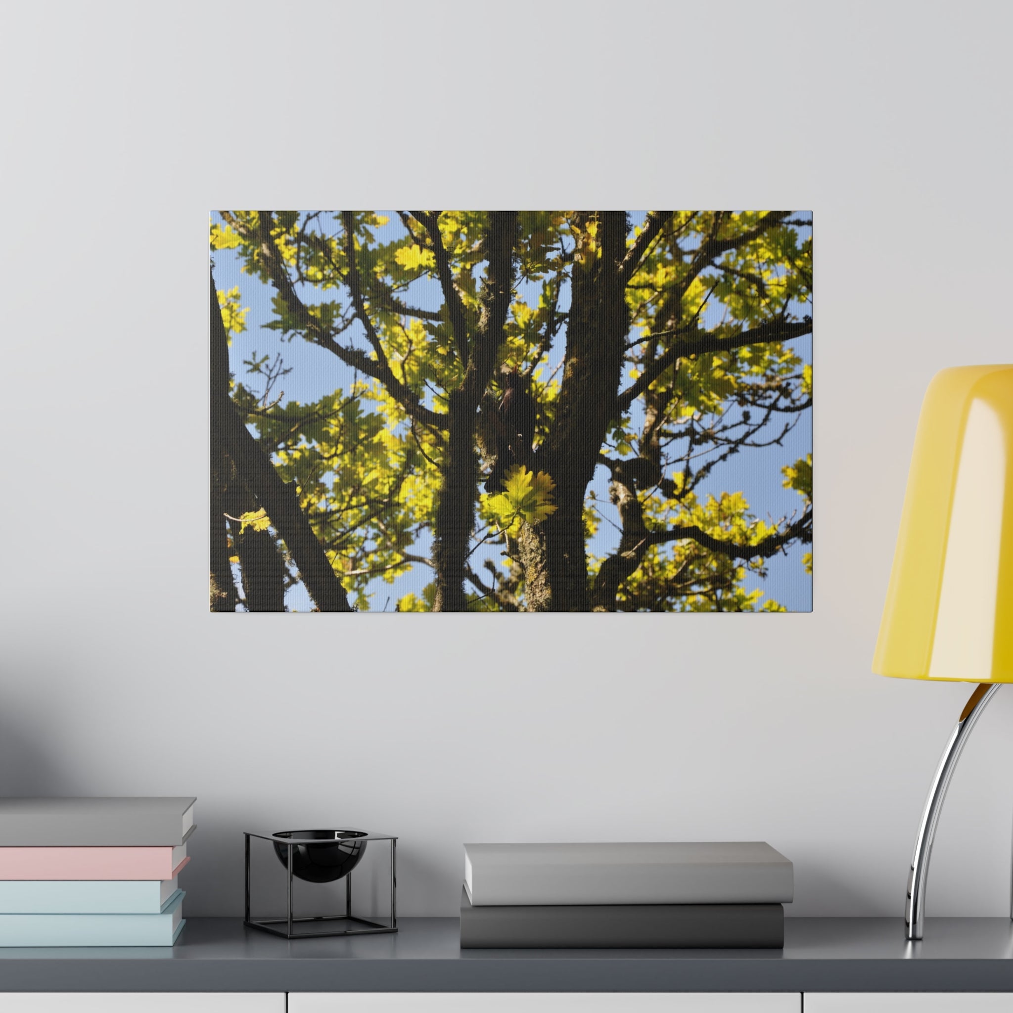 Blackbird In The Trees With Sky Background Canvas - The Trio Synergize Group