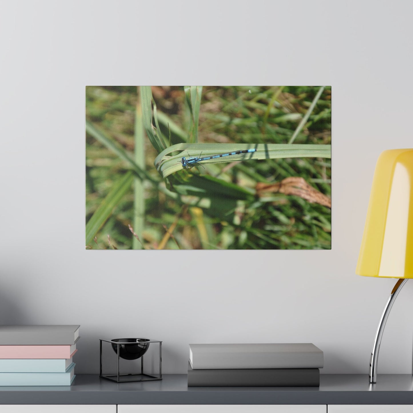 Blue Damselfly Resting On Grass From The Right Canvas - The Trio Synergize Group