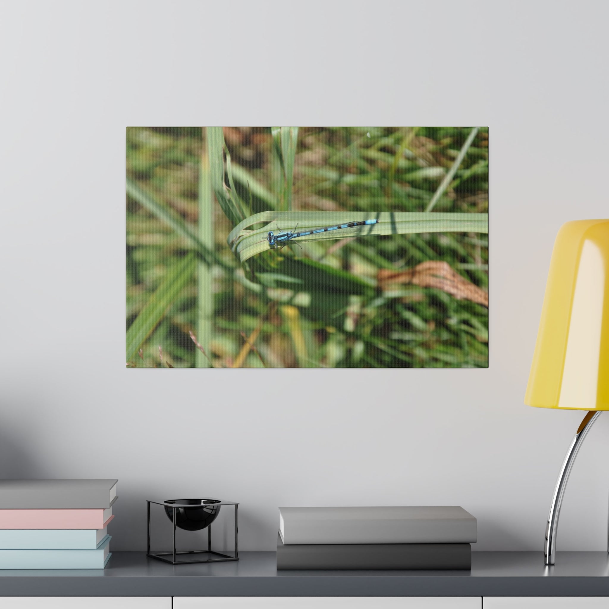 Blue Damselfly Resting On Grass From The Right Canvas - The Trio Synergize Group