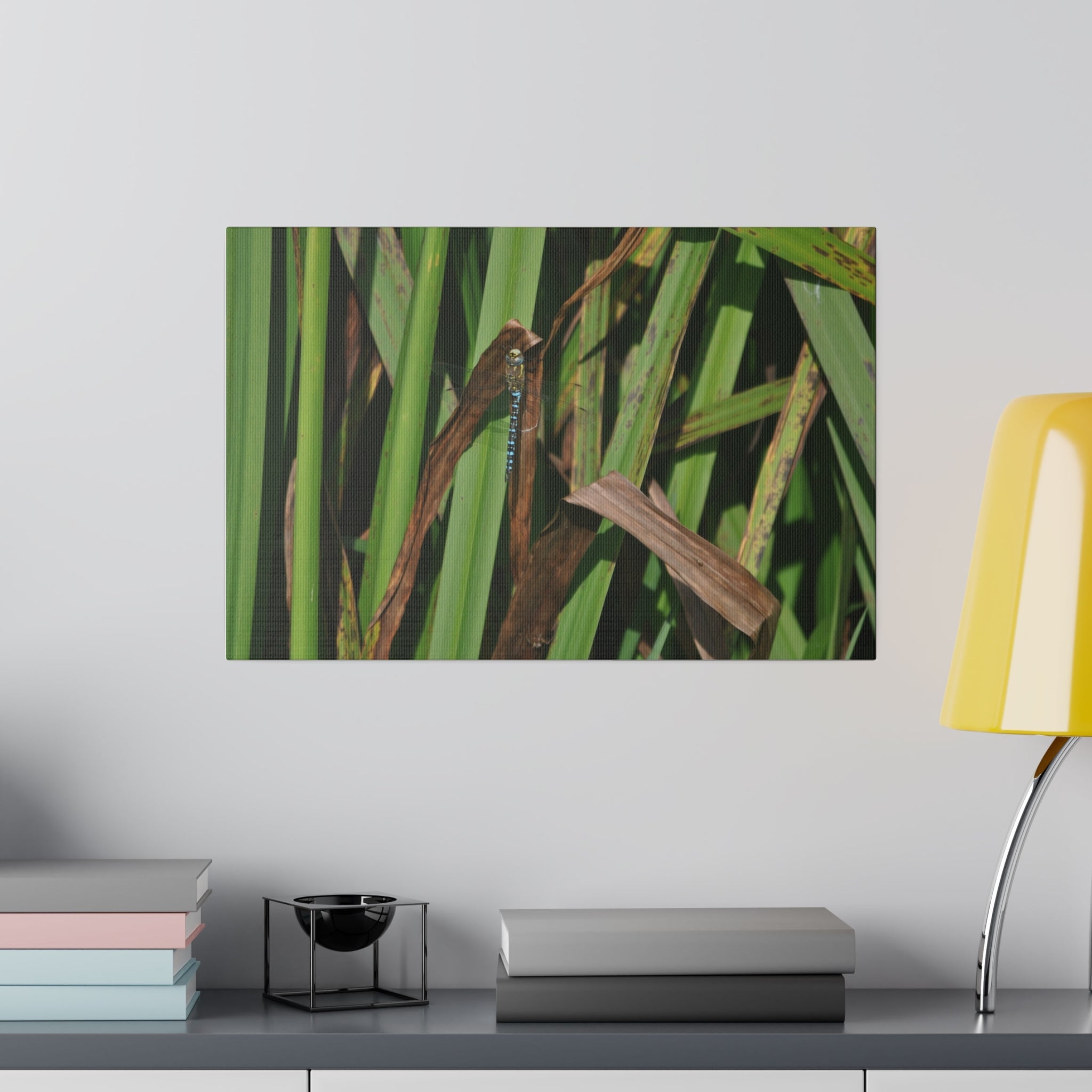 Blue Dragonfly Resting On A Dead Reed Canvas - The Trio Synergize Group