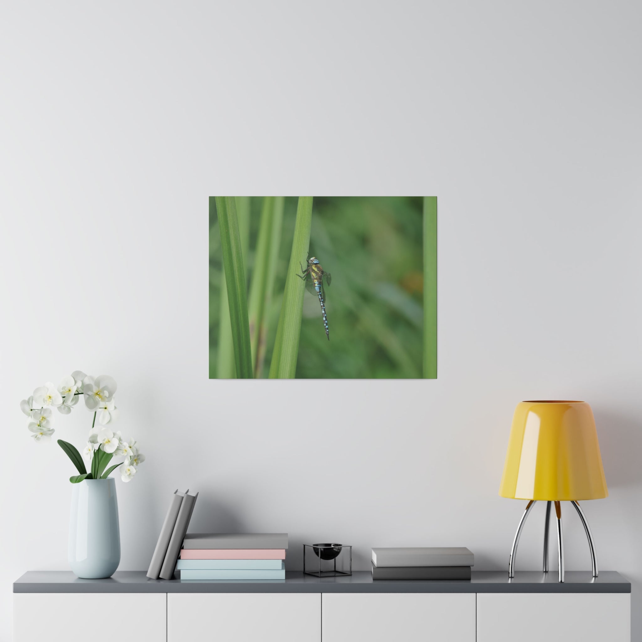 Blue Dragonfly Resting On Reeds Side View Canvas - The Trio Synergize Group