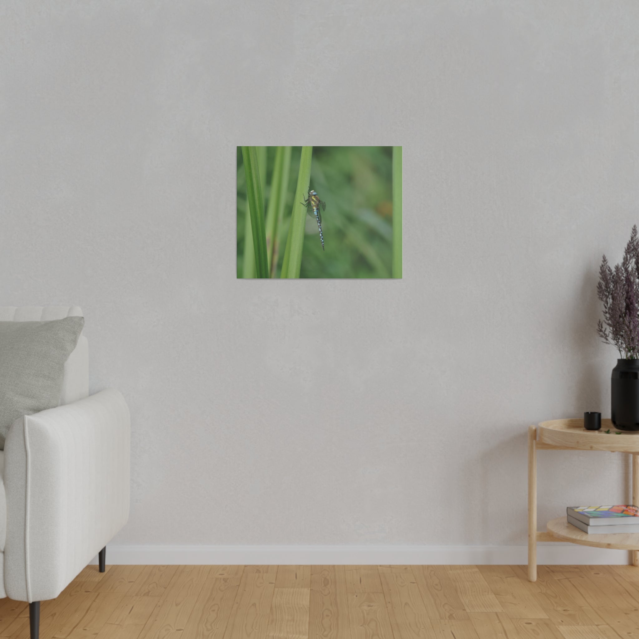 Blue Dragonfly Resting On Reeds Side View Canvas - The Trio Synergize Group