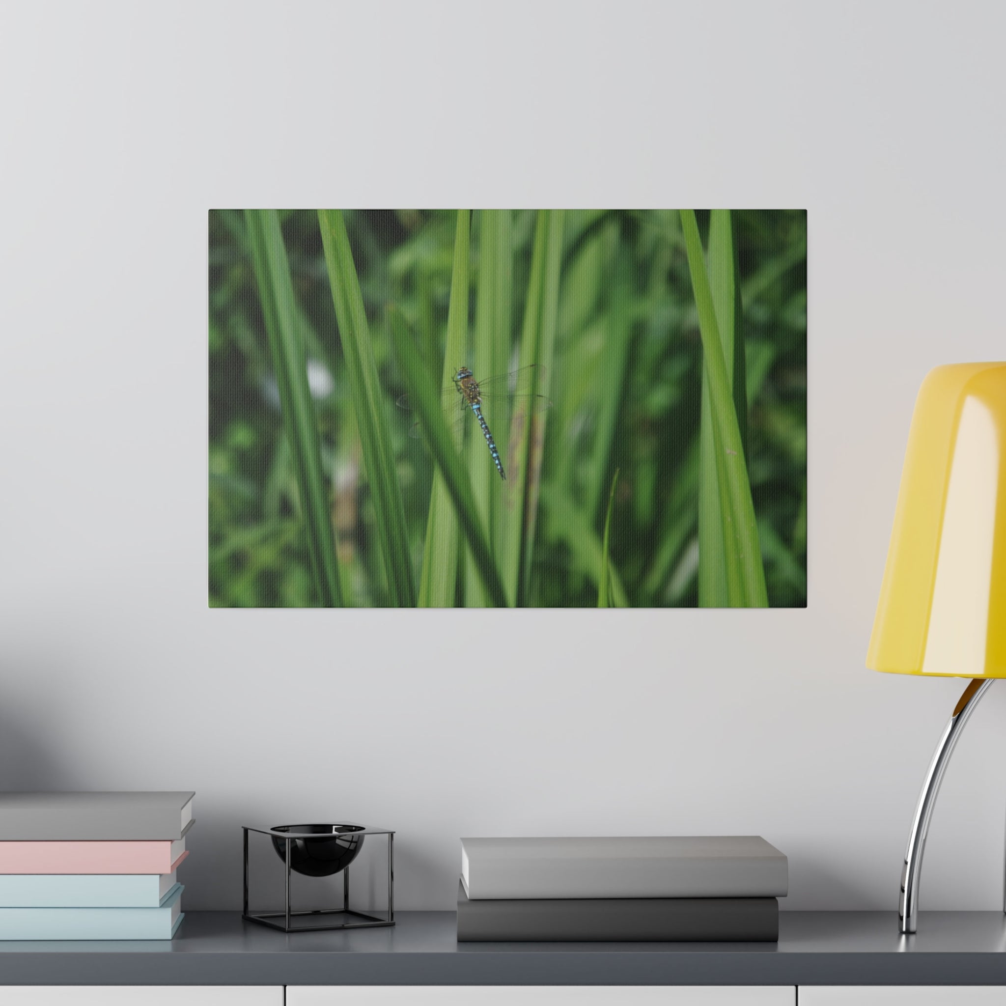 Dragonfly Resting On Reeds With Blurred Background Canvas - The Trio Synergize Group