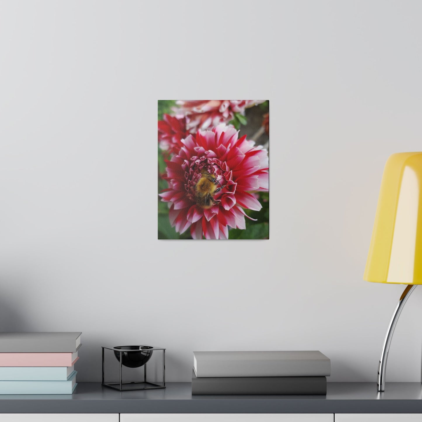Bumblebee On A Red & White Dahlia Canvas - The Trio Synergize Group