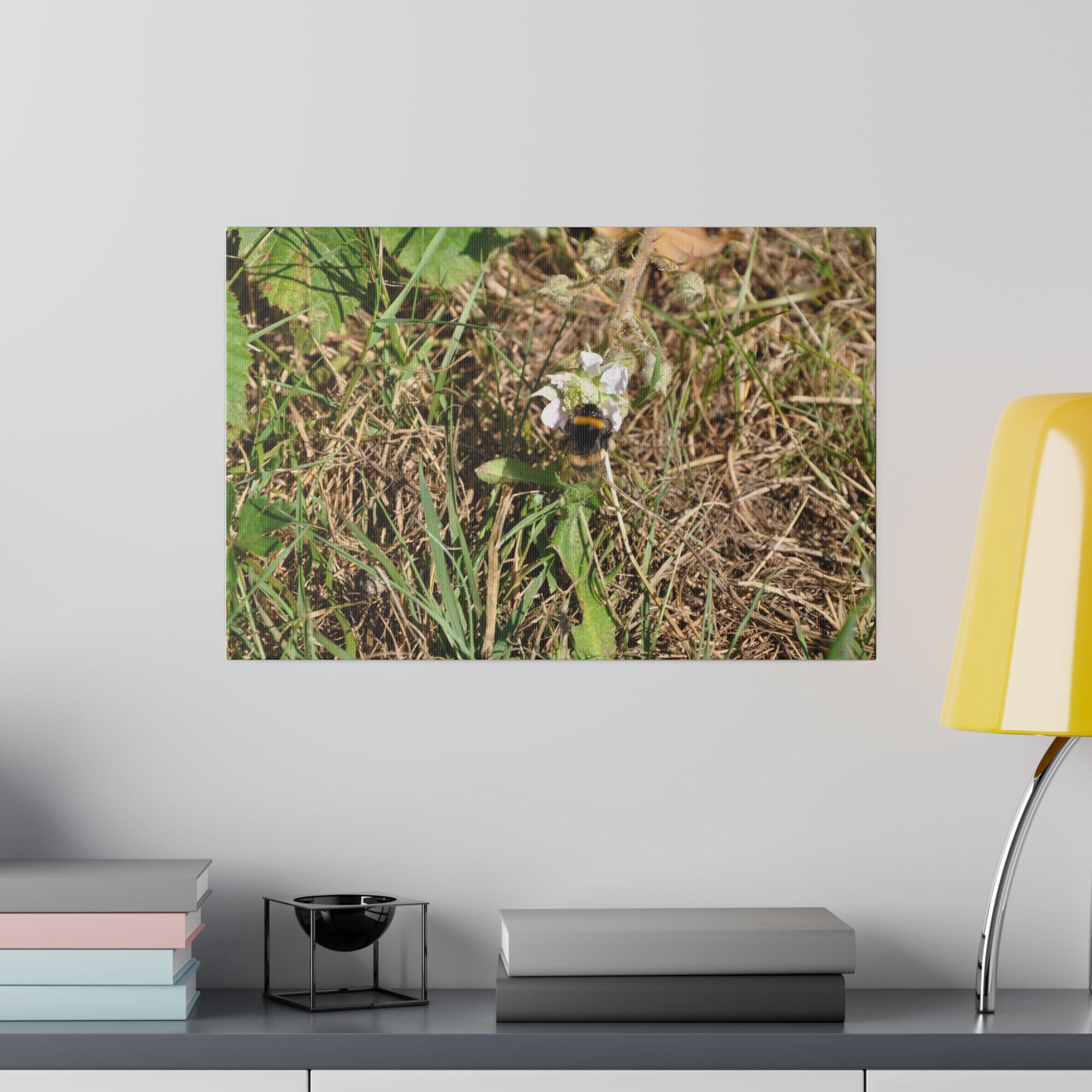 Bumblebee On A Small White Flower Canvas - The Trio Synergize Group