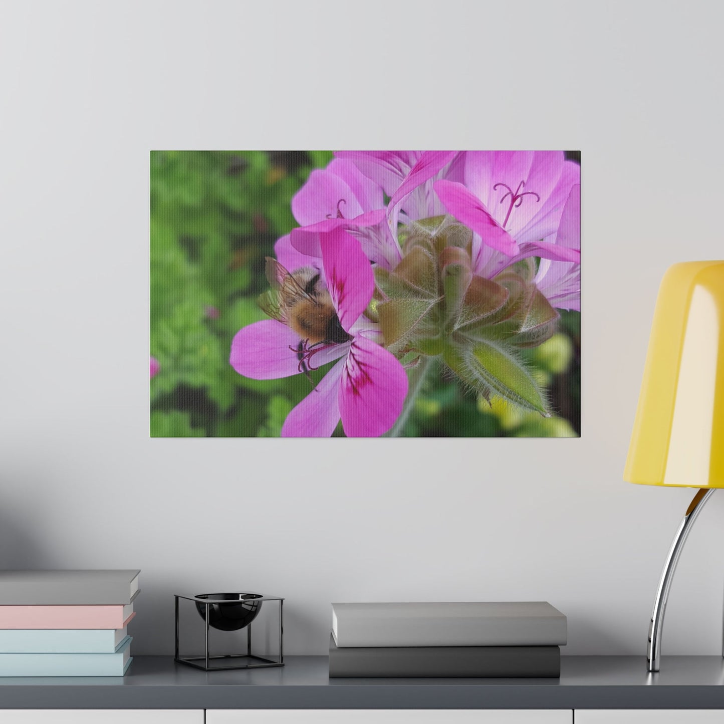 Bumblebee On Pelargonium Pink Capitatum Front View Canvas - The Trio Synergize Group