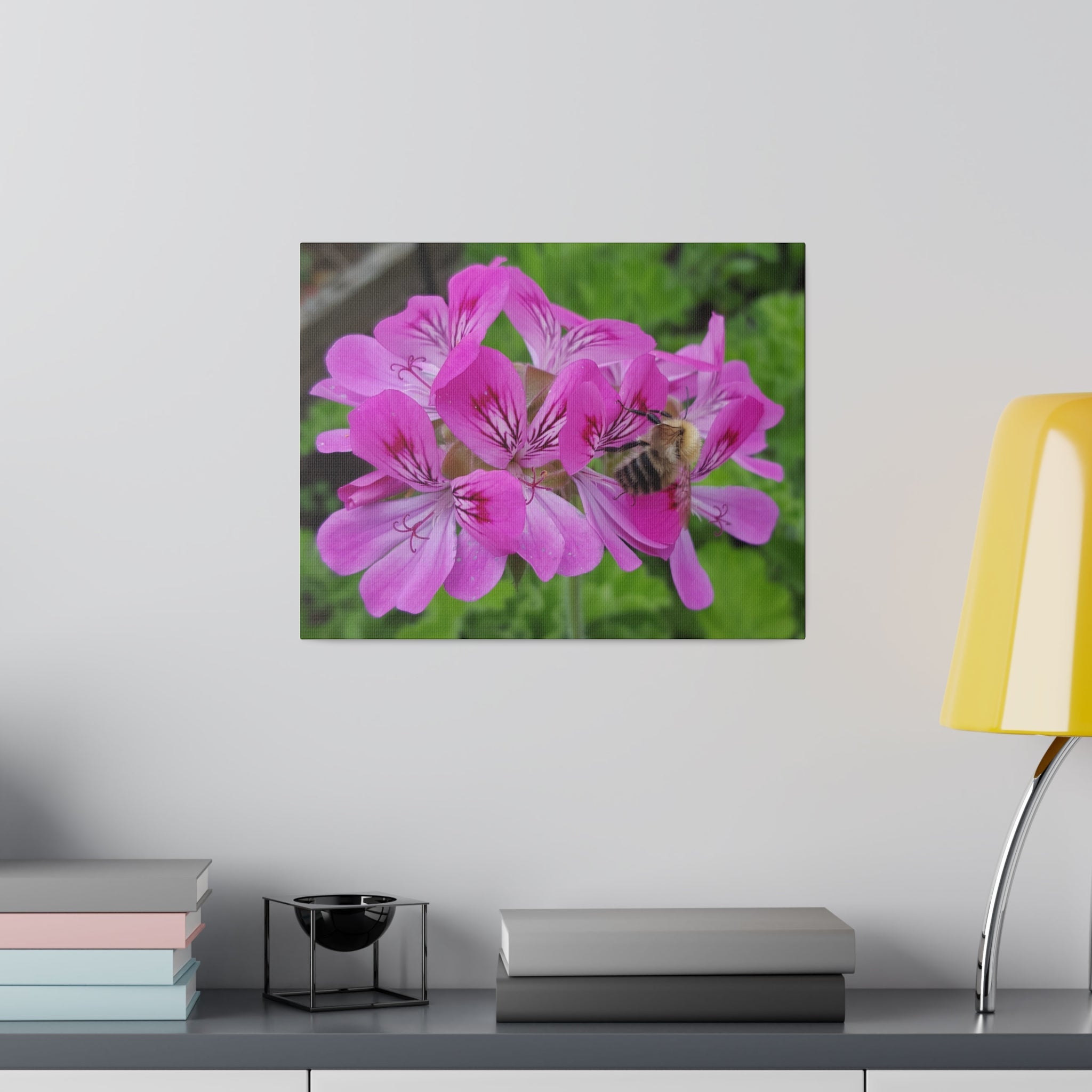 Bumblebee On Pelargonium Pink Capitatum From Behind Canvas - The Trio Synergize Group