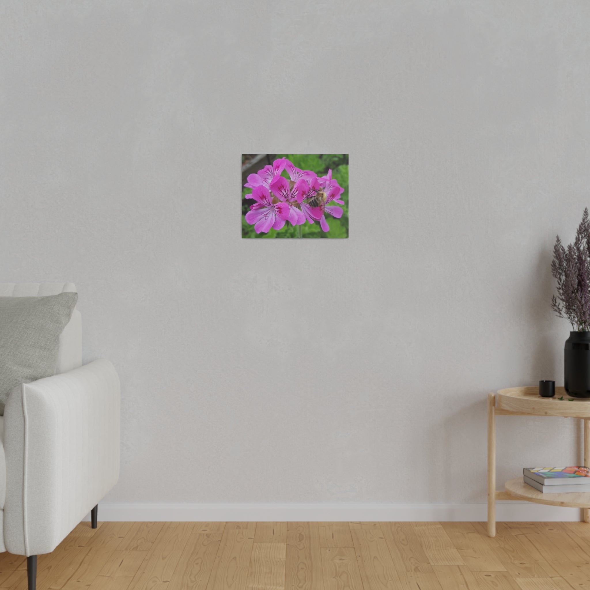 Bumblebee On Pelargonium Pink Capitatum From Behind Canvas - The Trio Synergize Group