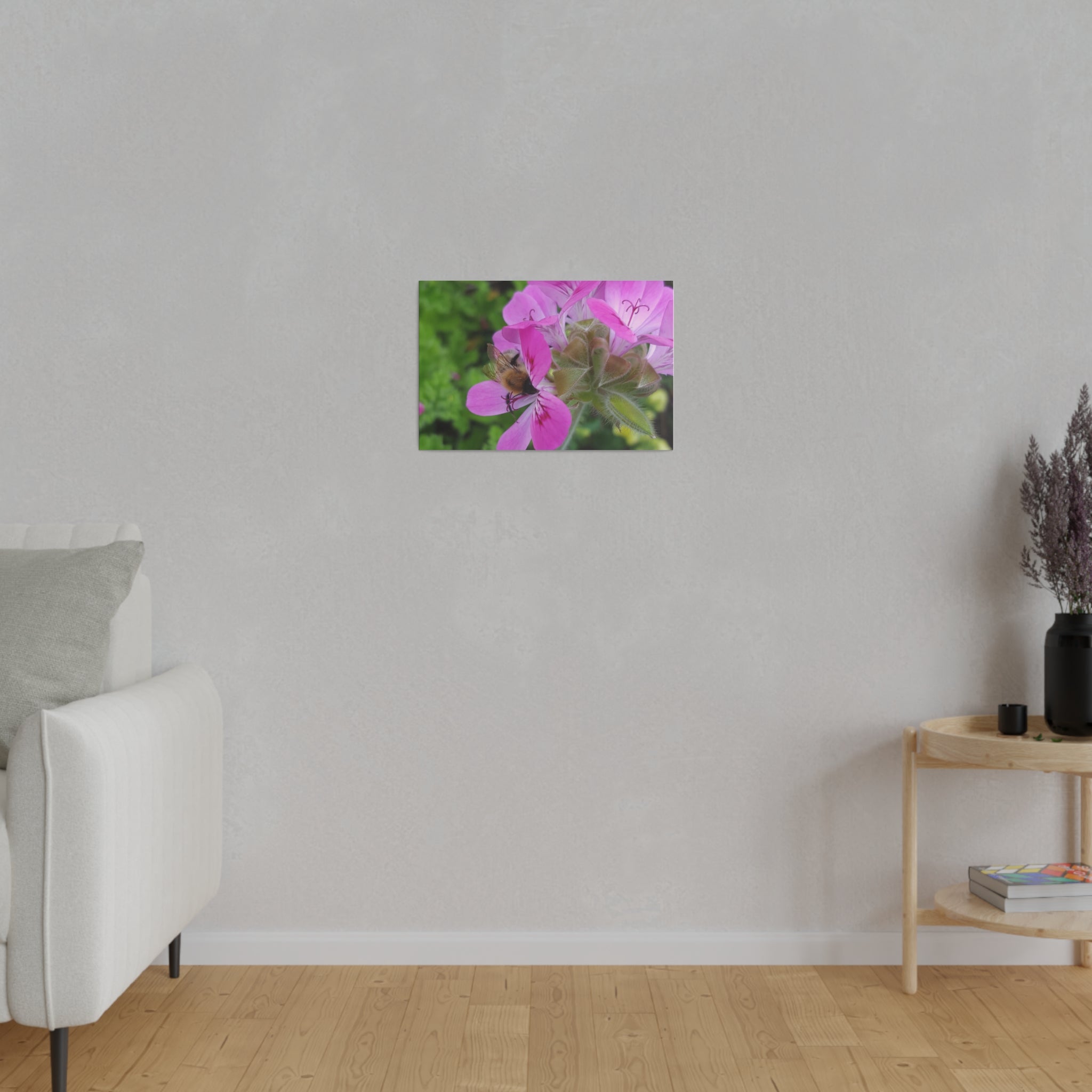 Bumblebee On Pelargonium Pink Capitatum Front View Canvas - The Trio Synergize Group