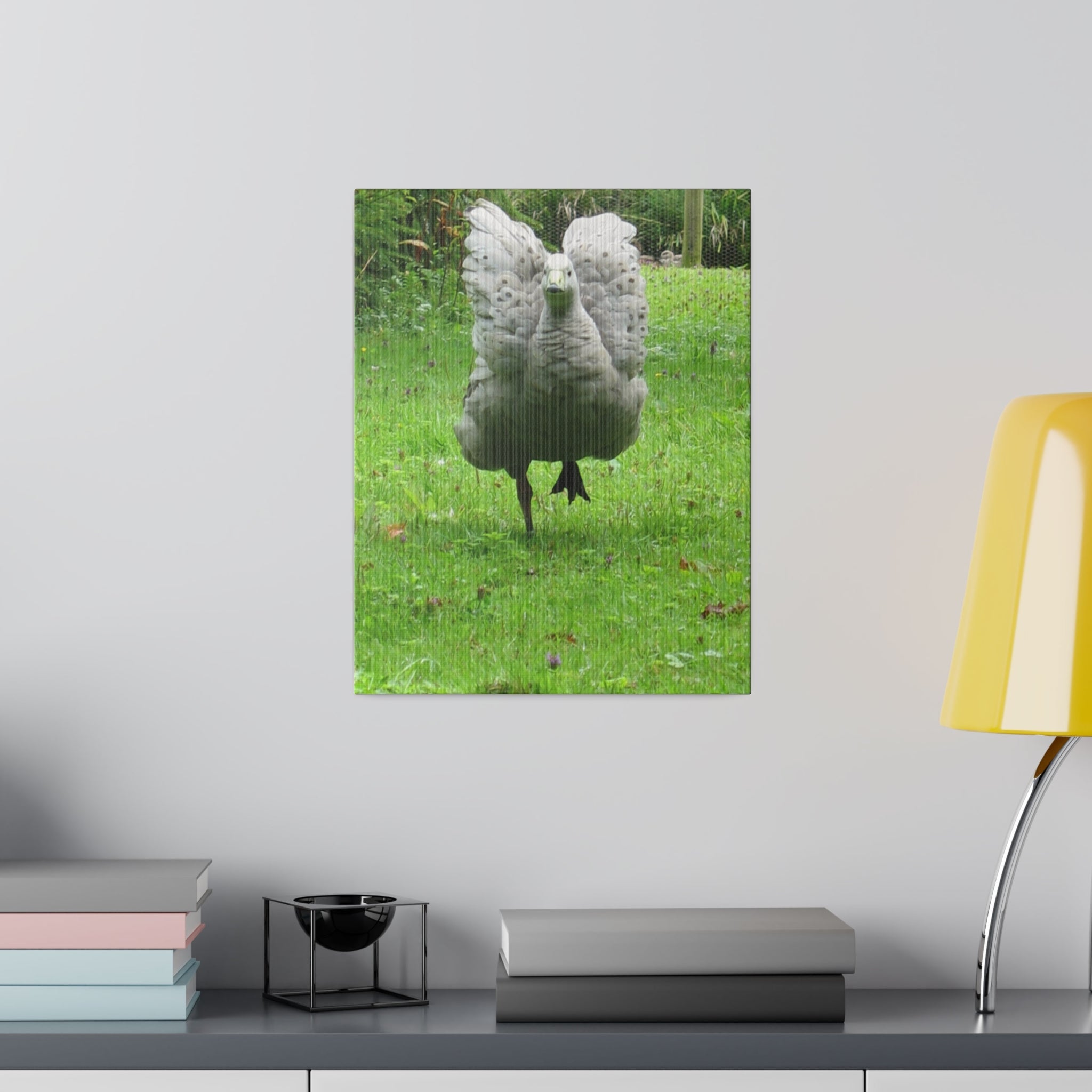 Cape Barren Goose, Showing Feathers Canvas - The Trio Synergize Group