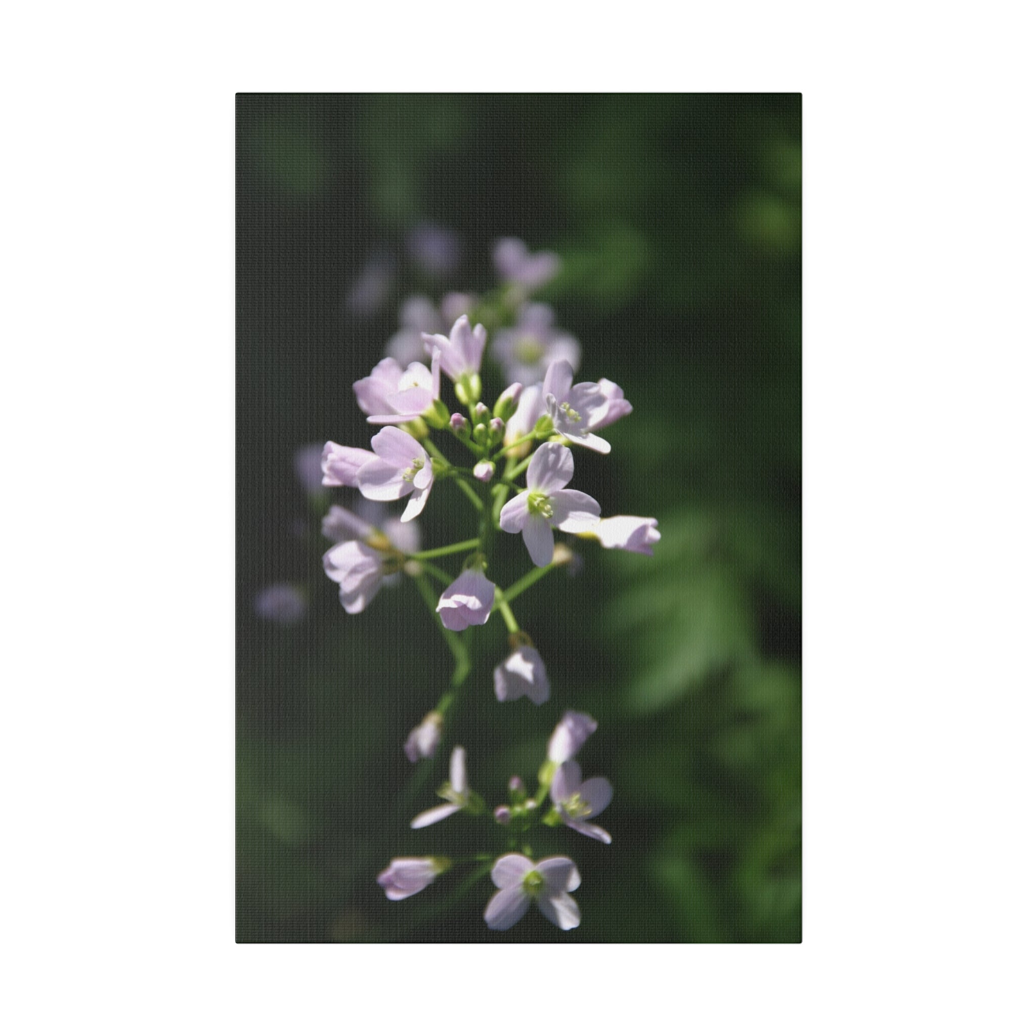 Light Purple Cardamine Pratensis Close Up Canvas - The Trio Synergize Group