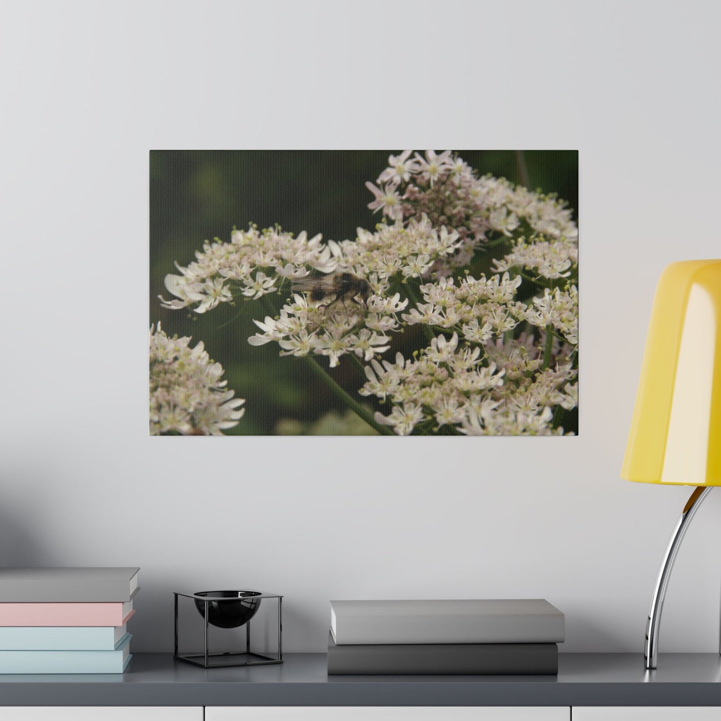 Cheilosia, Cluster Of Chaerophyllum Villarsii Flowers Canvas - The Trio Synergize Group