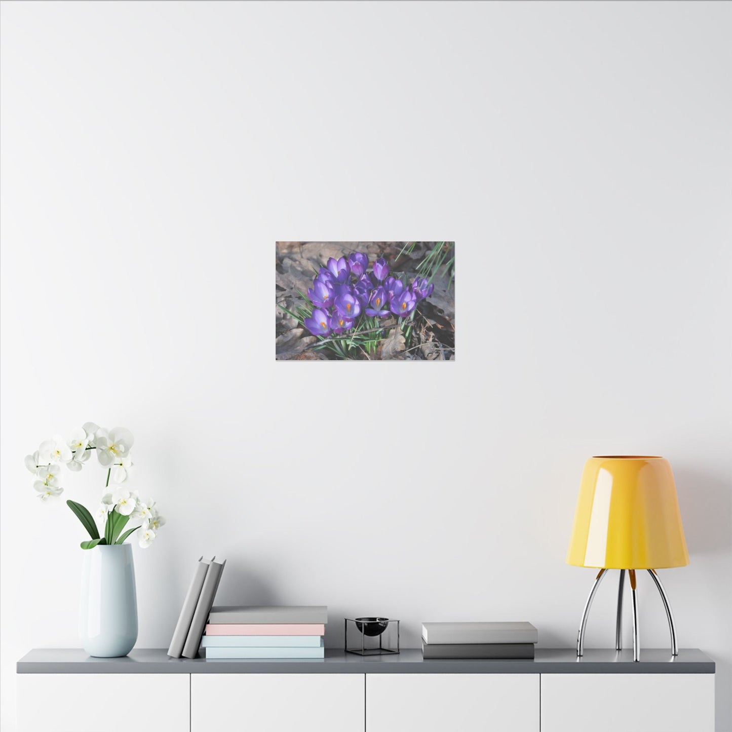 Cluster Of Purple Crocuses With Dead Leaves Close Up Canvas - The Trio Synergize Group