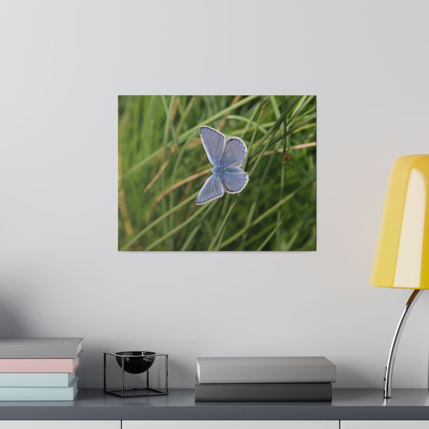Common Blue Butterfly, Matte Canvas, Stretched, 0.75" - The Trio Synergize Group