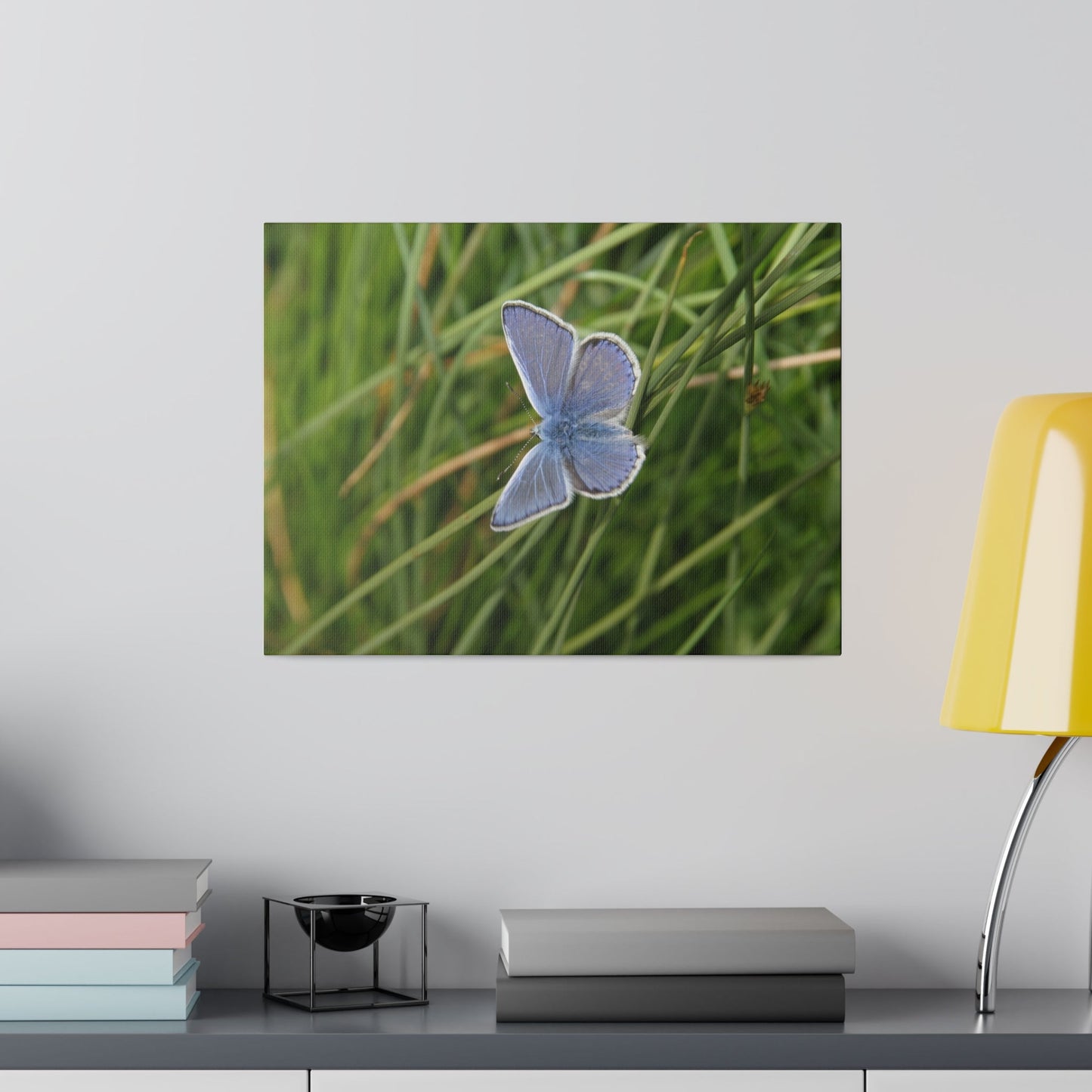 Common Blue Butterfly, Matte Canvas, Stretched, 0.75" - The Trio Synergize Group