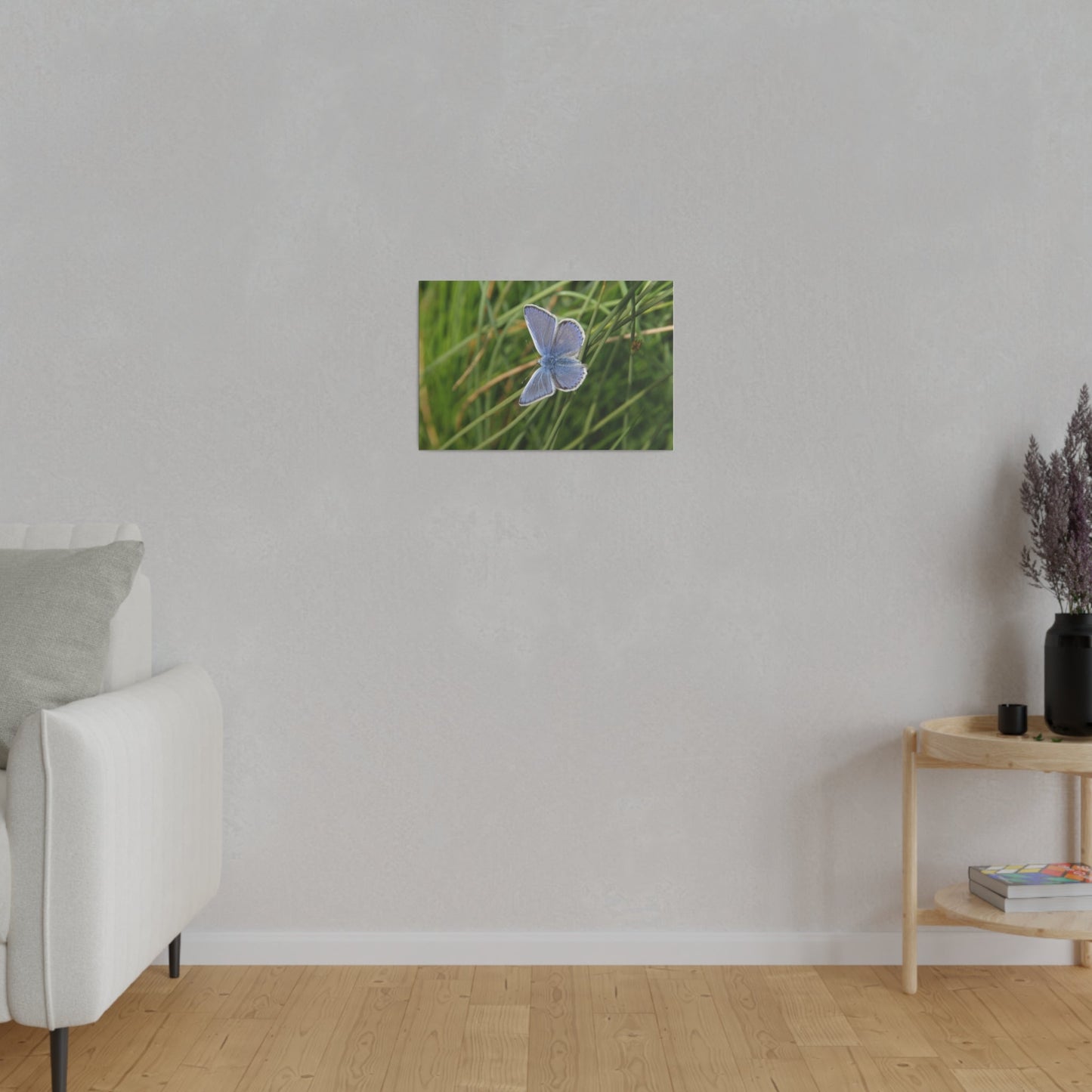 Common Blue Butterfly, Matte Canvas, Stretched, 0.75" - The Trio Synergize Group