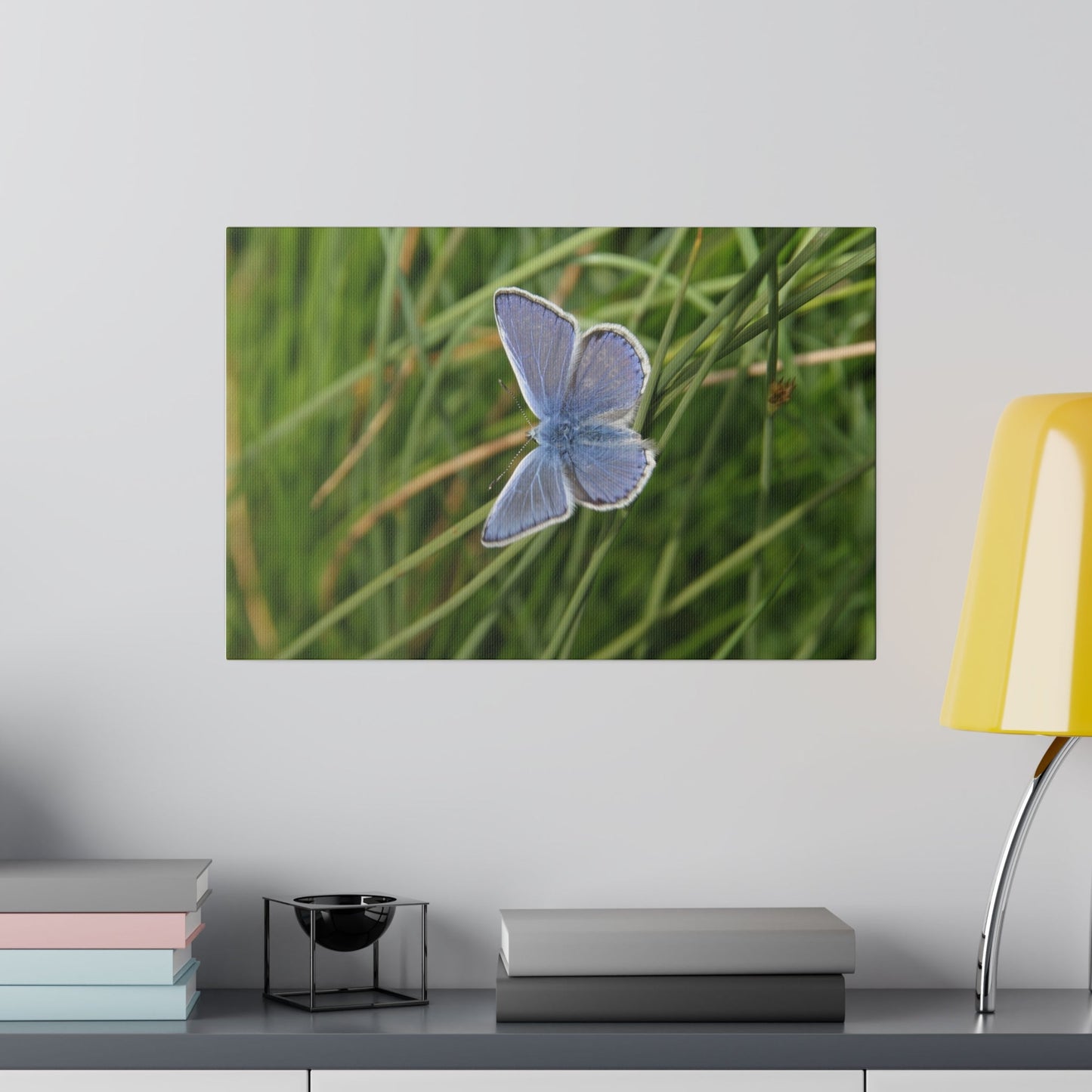 Common Blue Butterfly, Matte Canvas, Stretched, 0.75" - The Trio Synergize Group